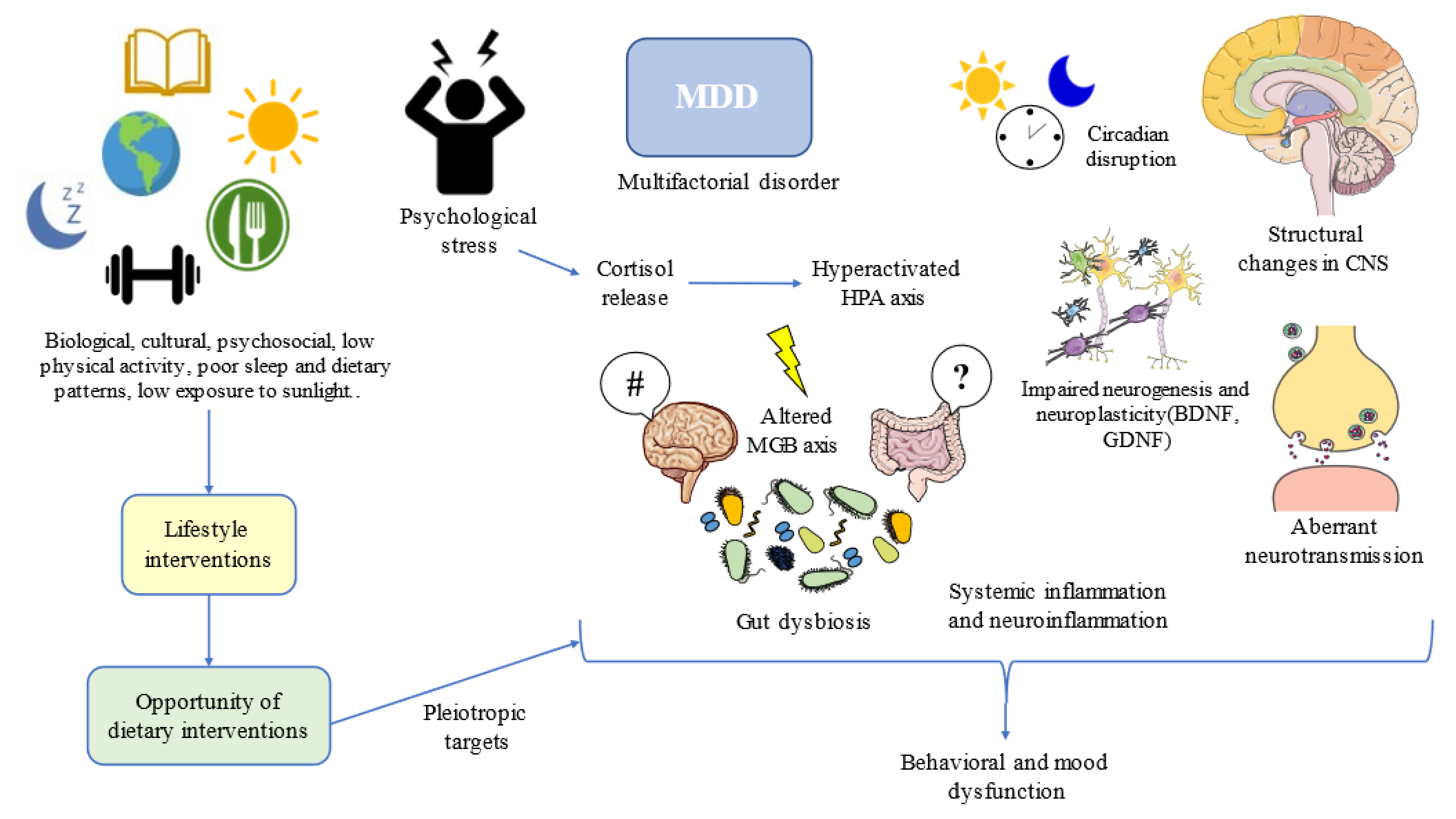 Nutrients 14 03099 g001