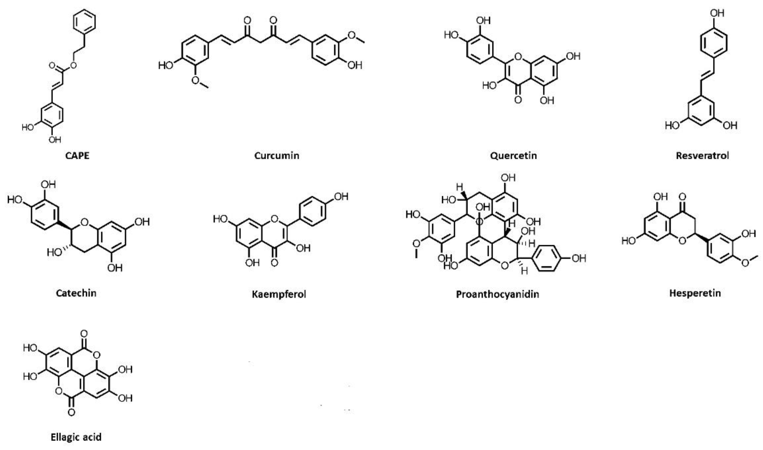 Nutrients 14 03115 g001