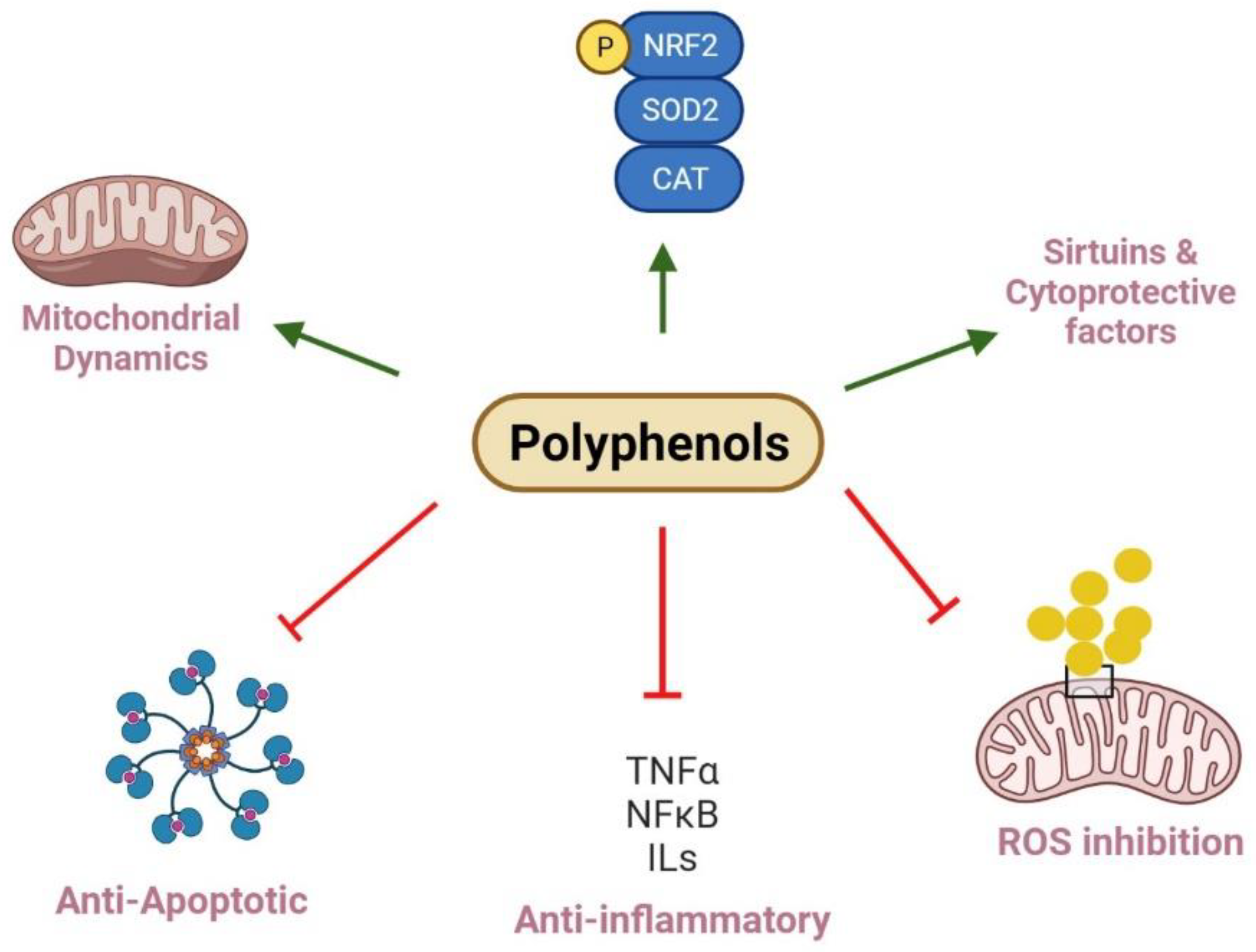Nutrients 14 03115 g002