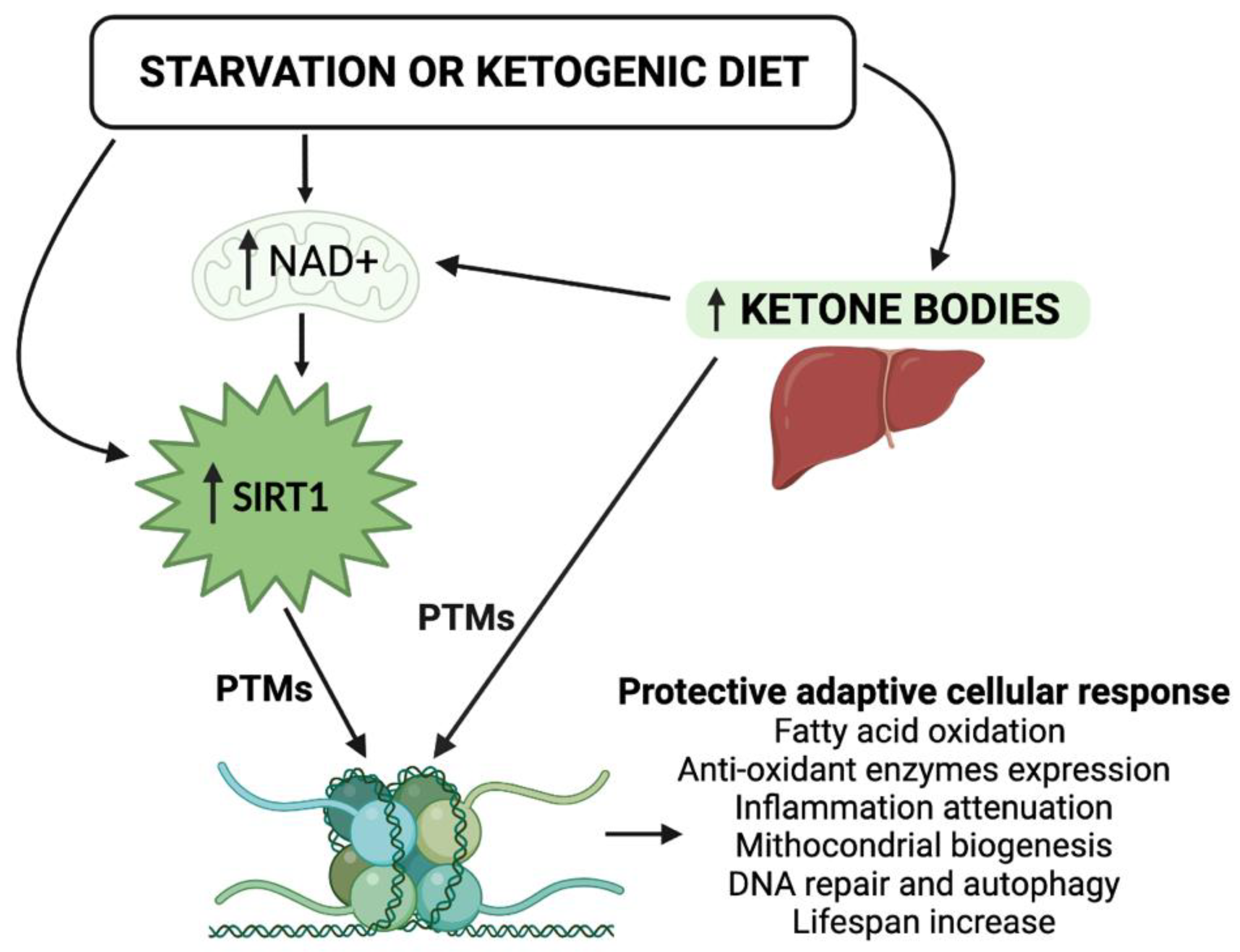 Nutrients 14 03145 g001