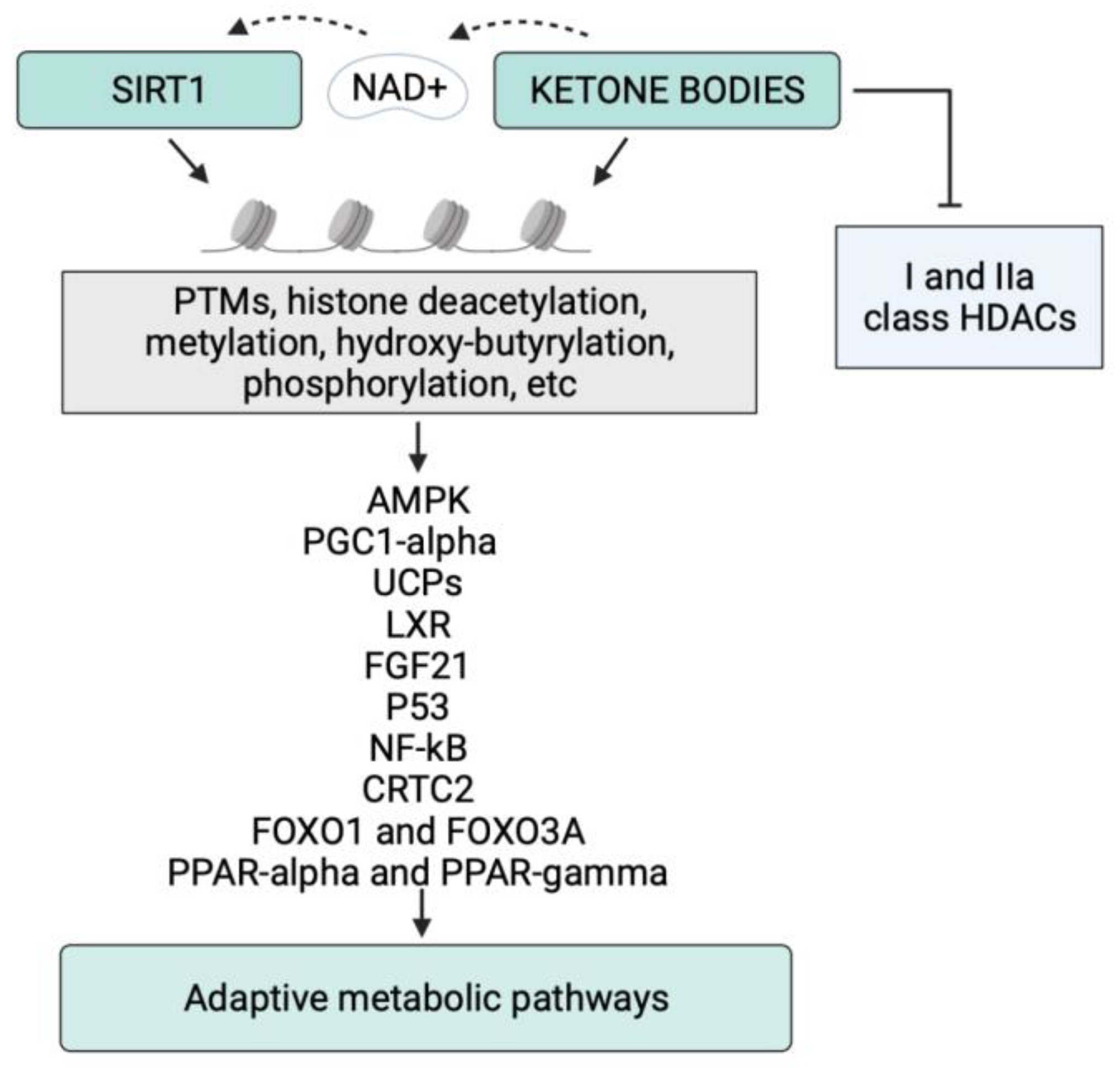 Nutrients 14 03145 g002