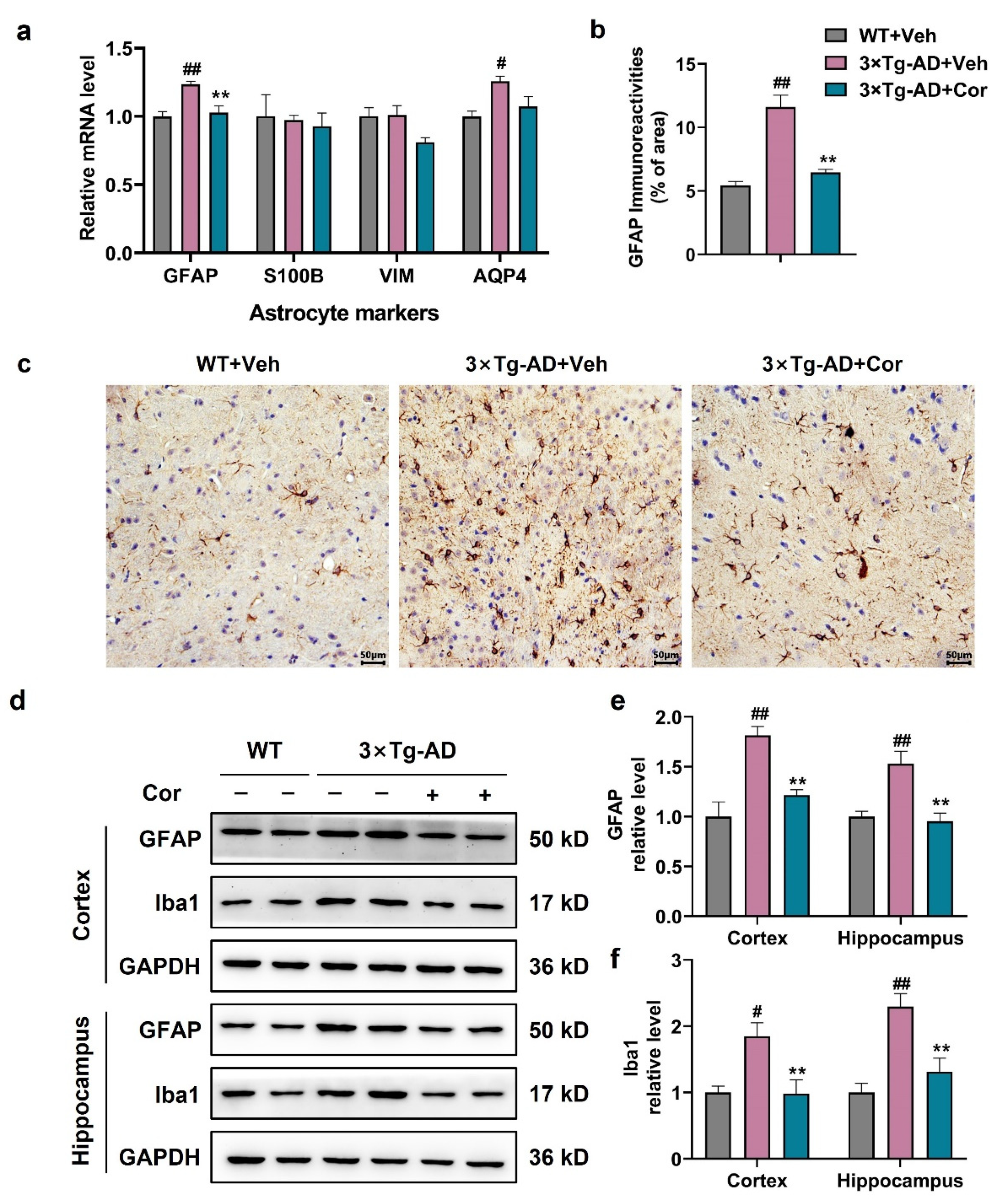 Nutrients 14 03179 g003 Nutrients 14 03179 g003