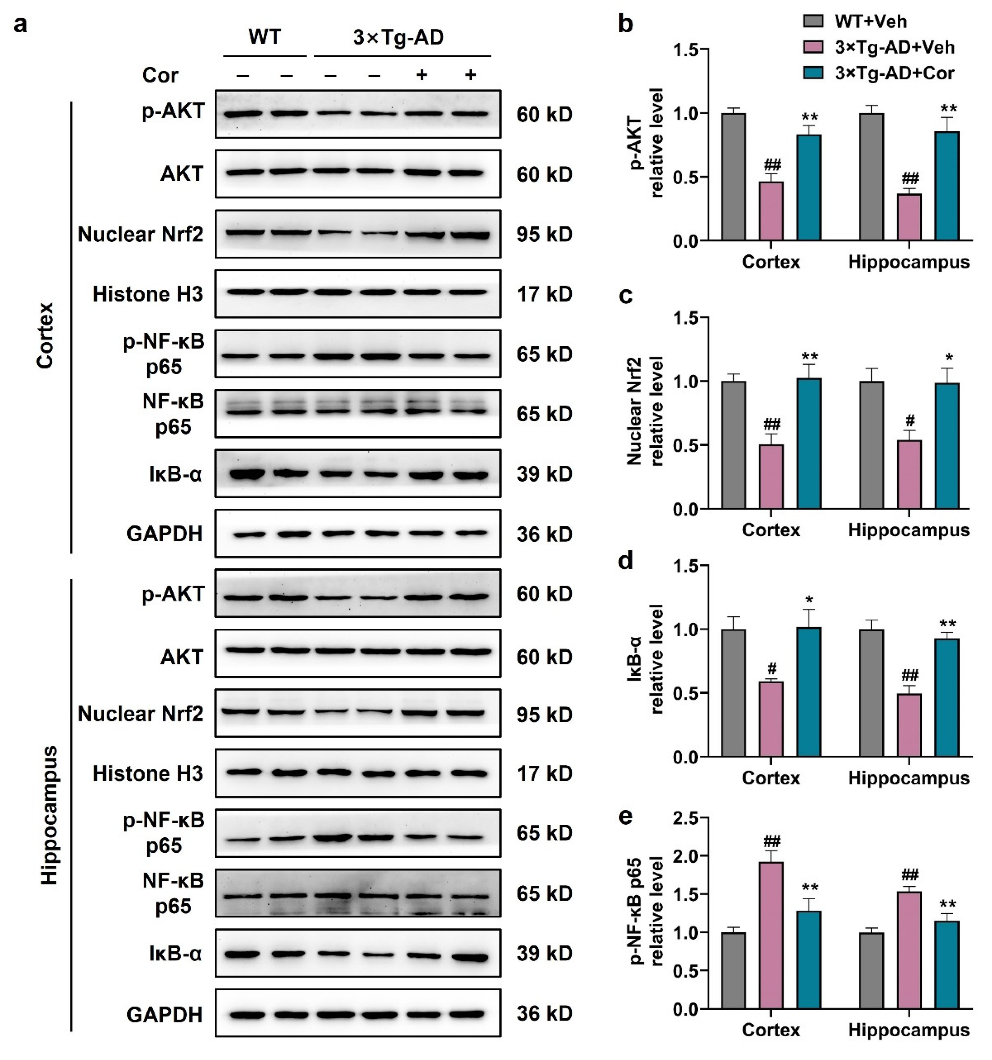 Nutrients 14 03179 g007 Nutrients 14 03179 g007