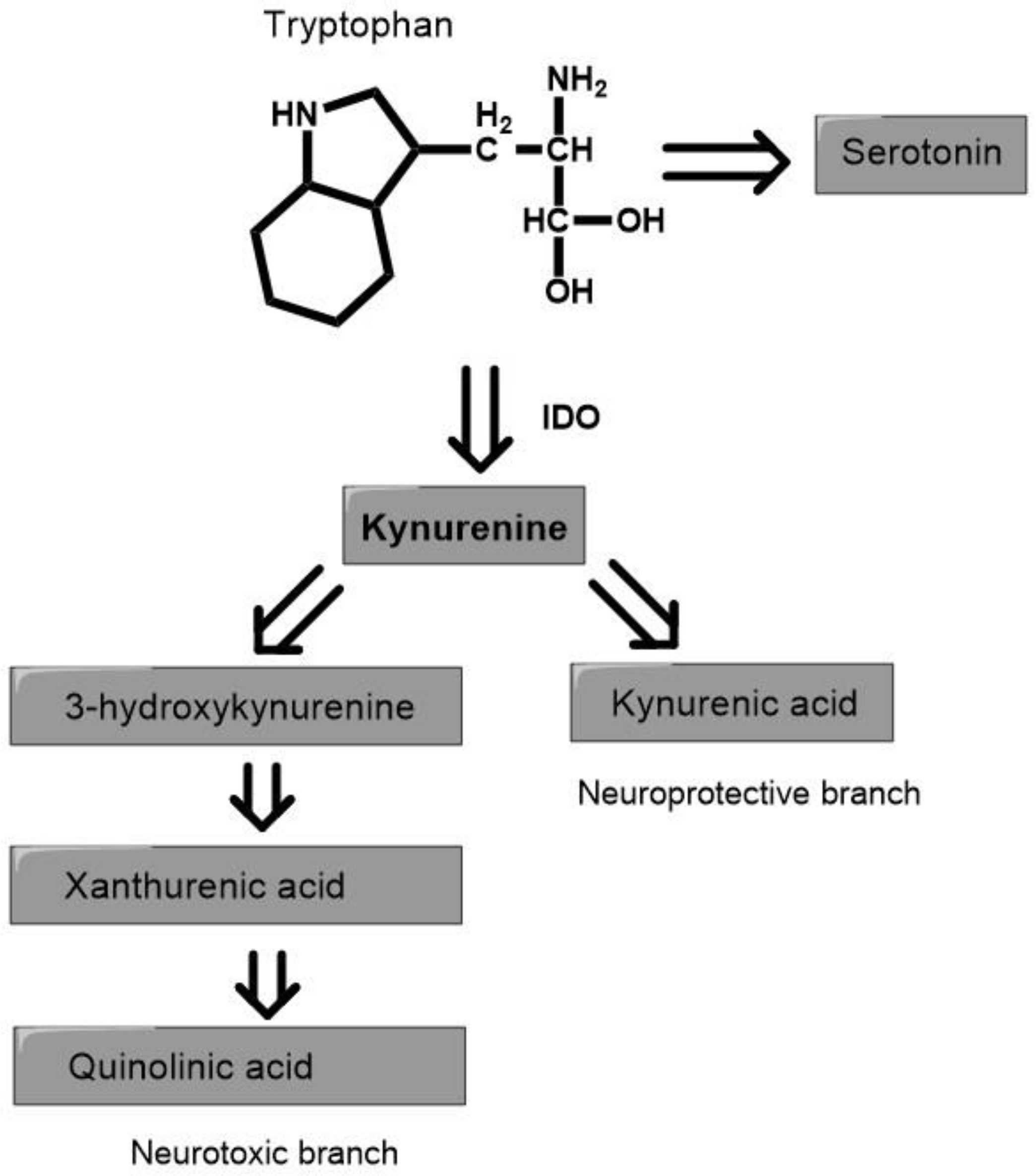 Nutrients 14 03217 g001