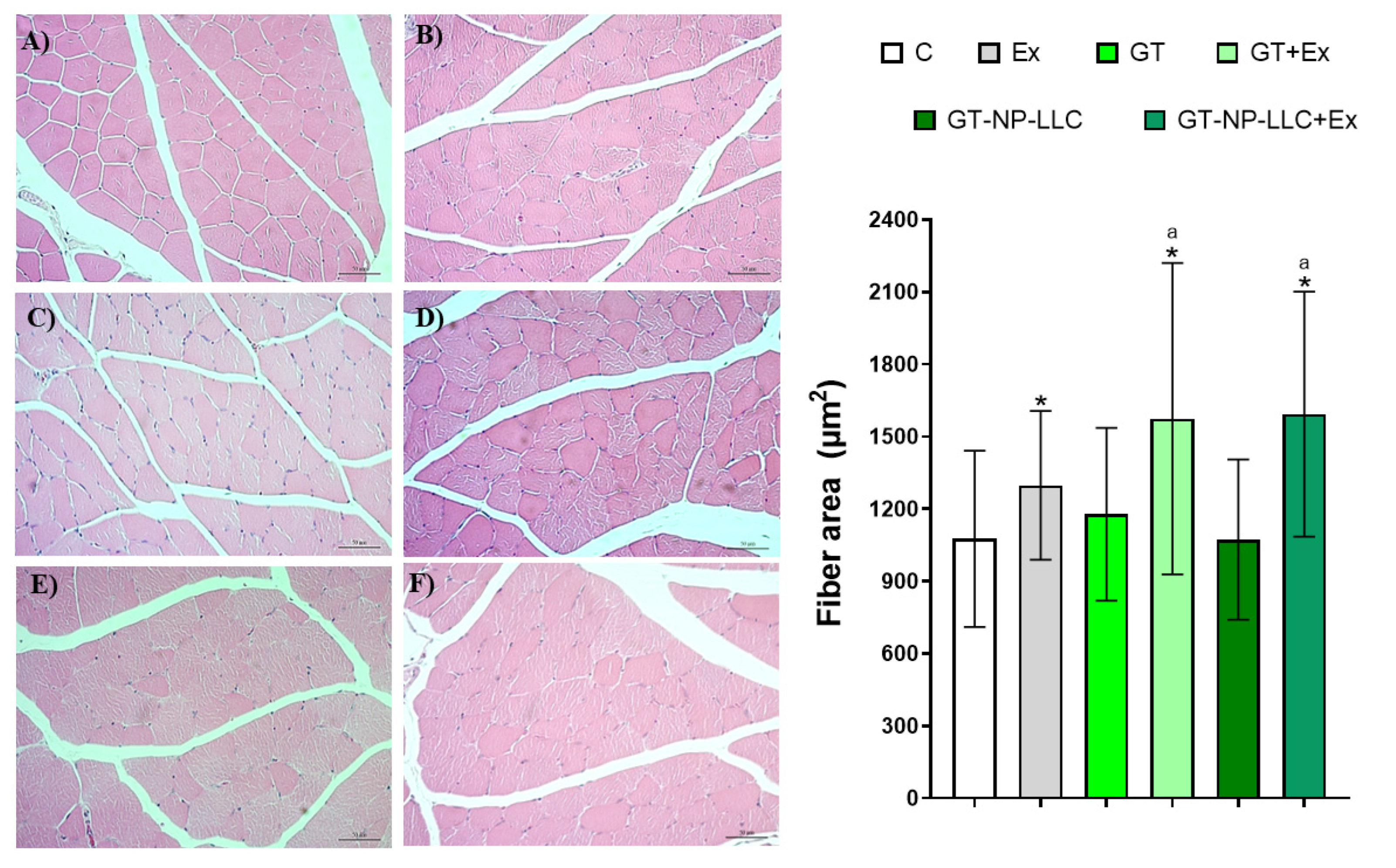 Nutrients 14 03226 g004 Nutrients 14 03226 g004