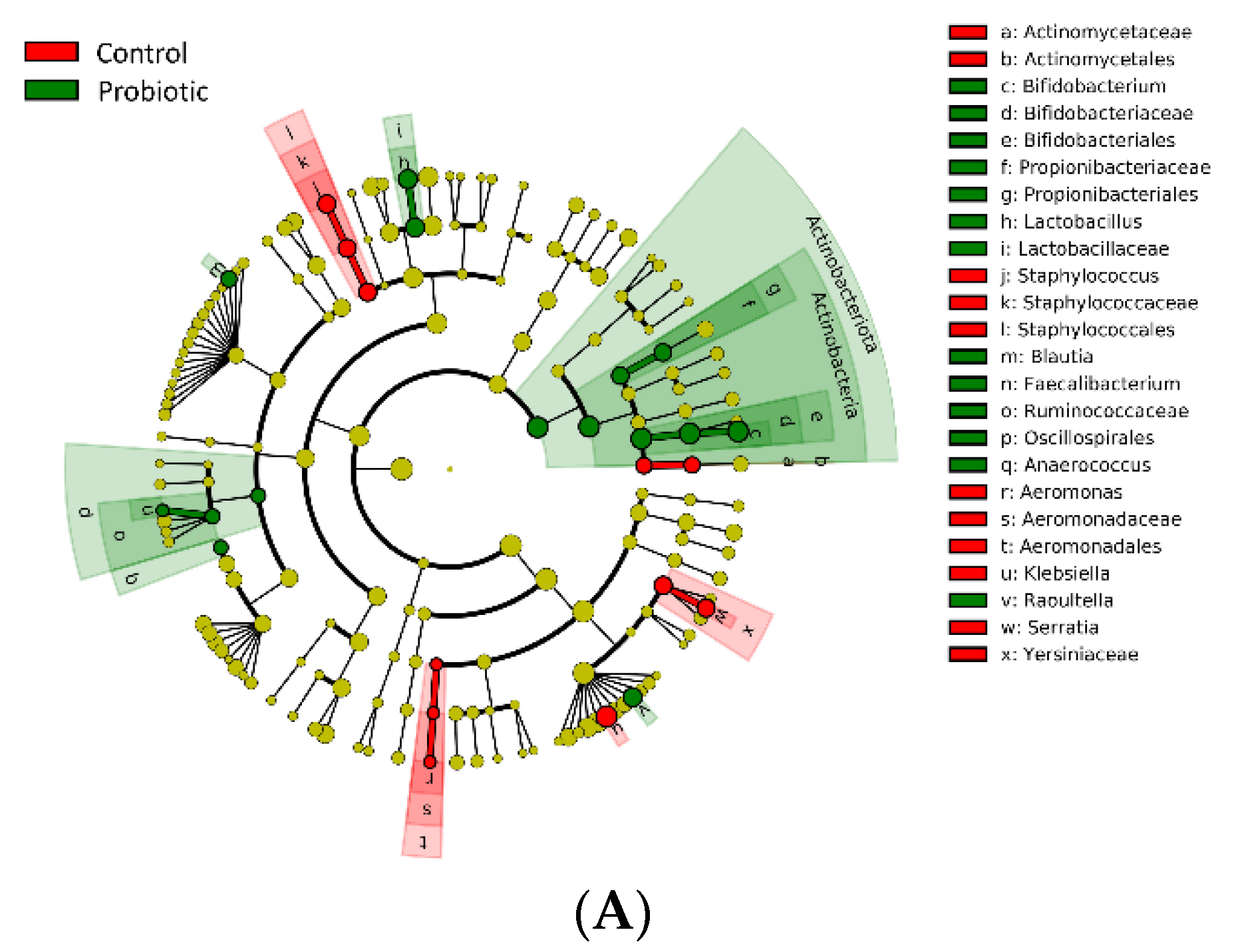 Nutrients 14 03239 g004a