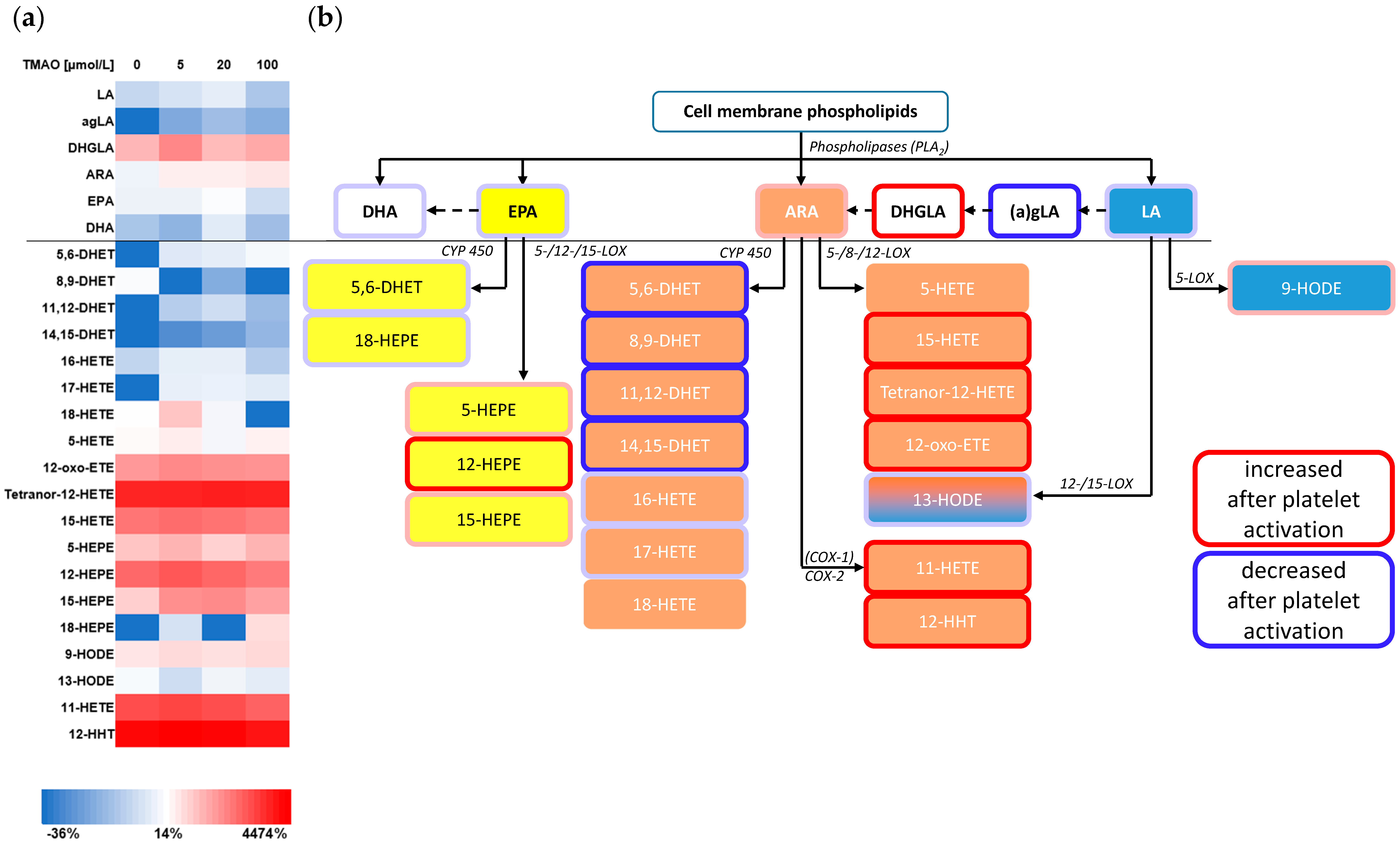 Nutrients 14 03261 g004