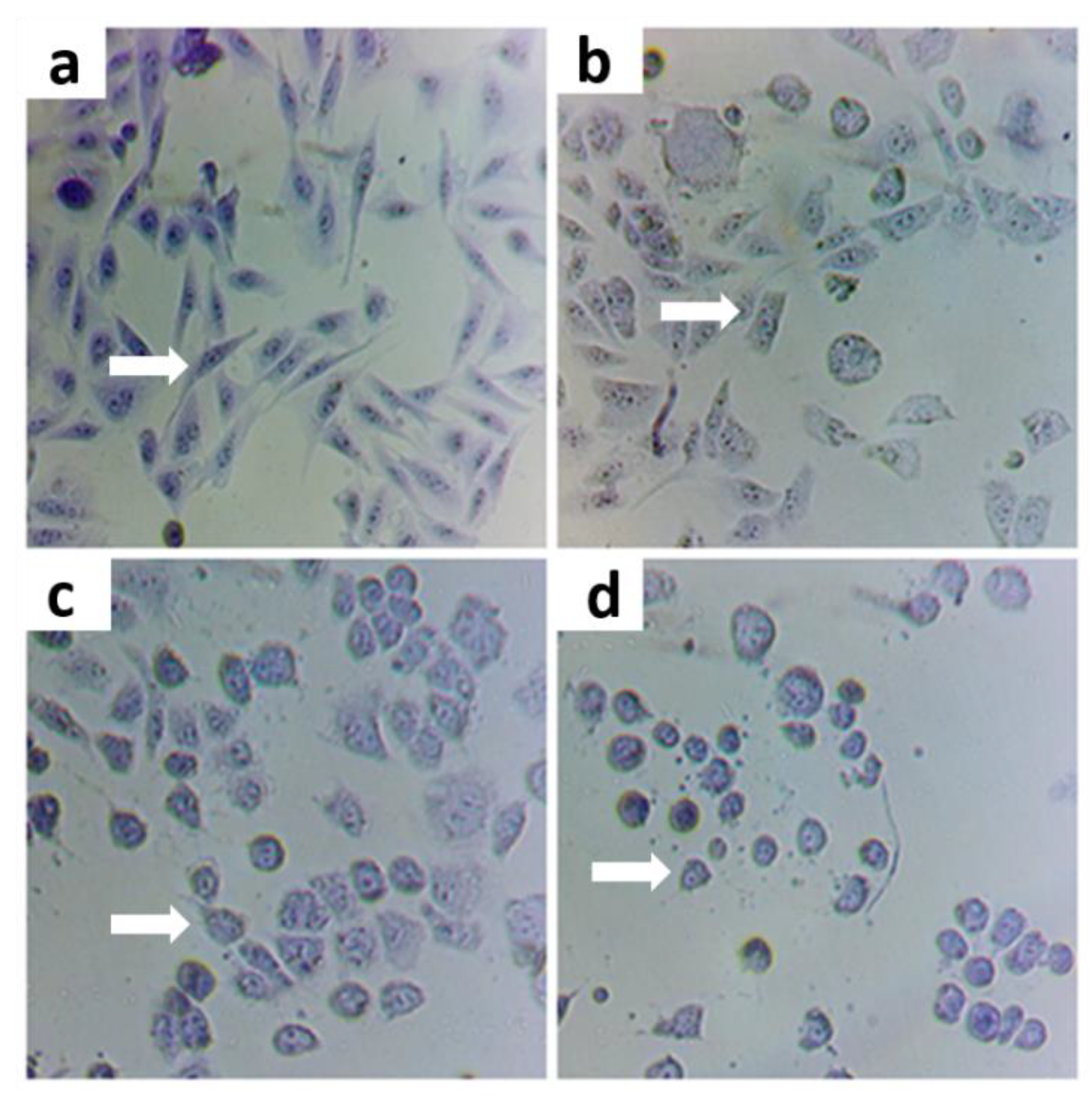 Nutrients 14 03265 g001