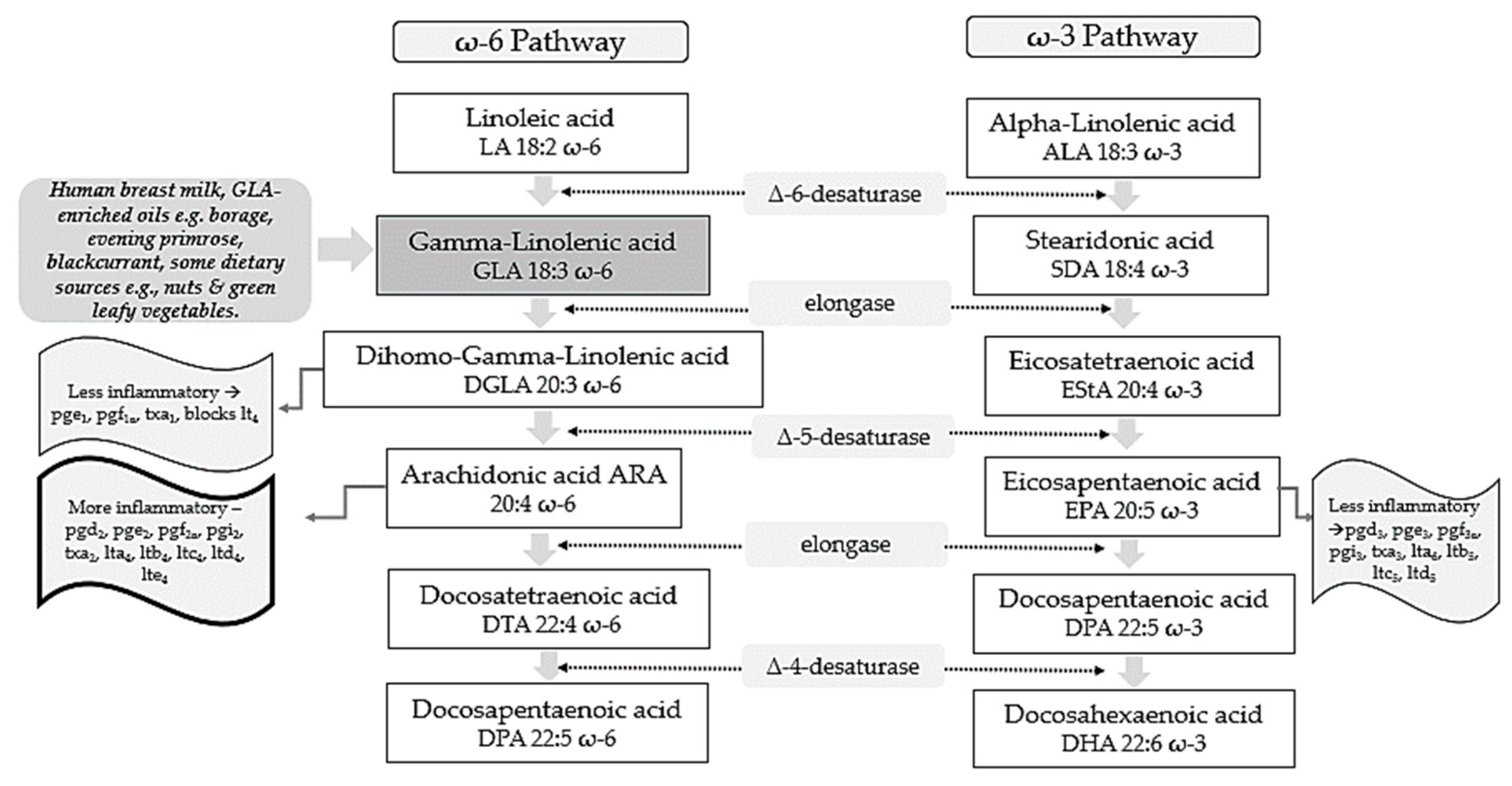 Nutrients 14 03273 g001