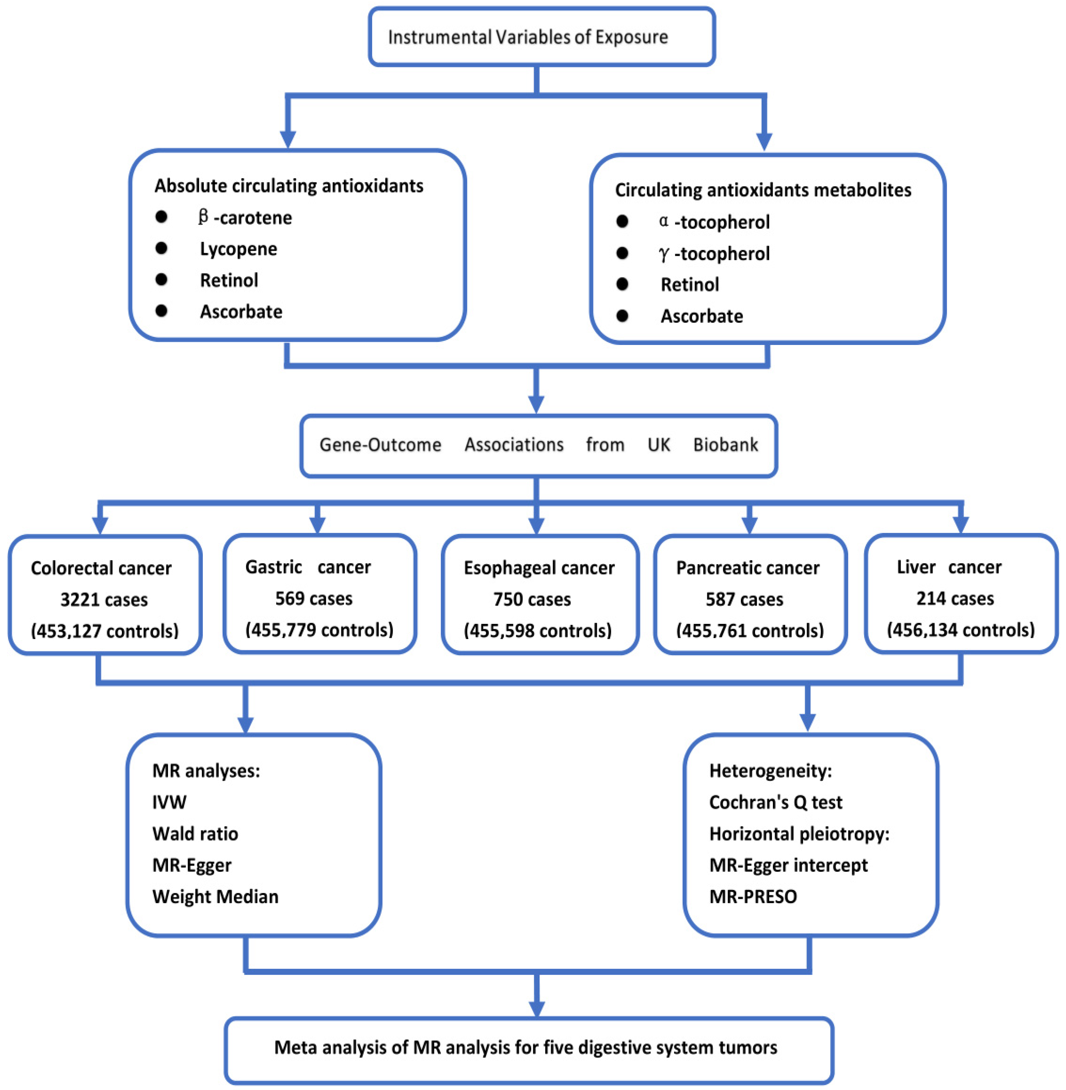 Nutrients 14 03274 g001