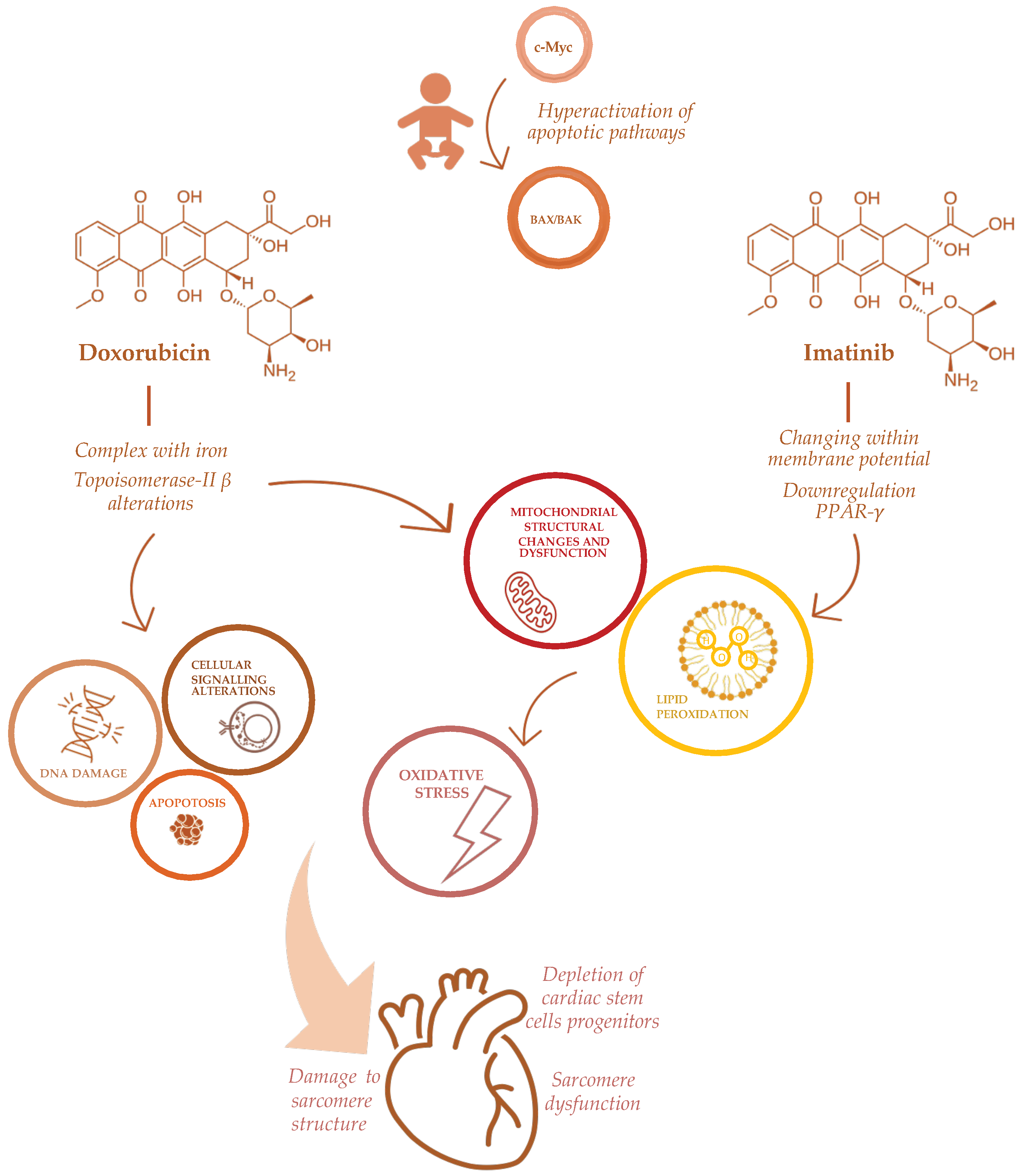 Nutrients 14 03279 g001