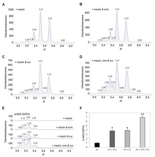 Nutrients 14 03301 g004 550