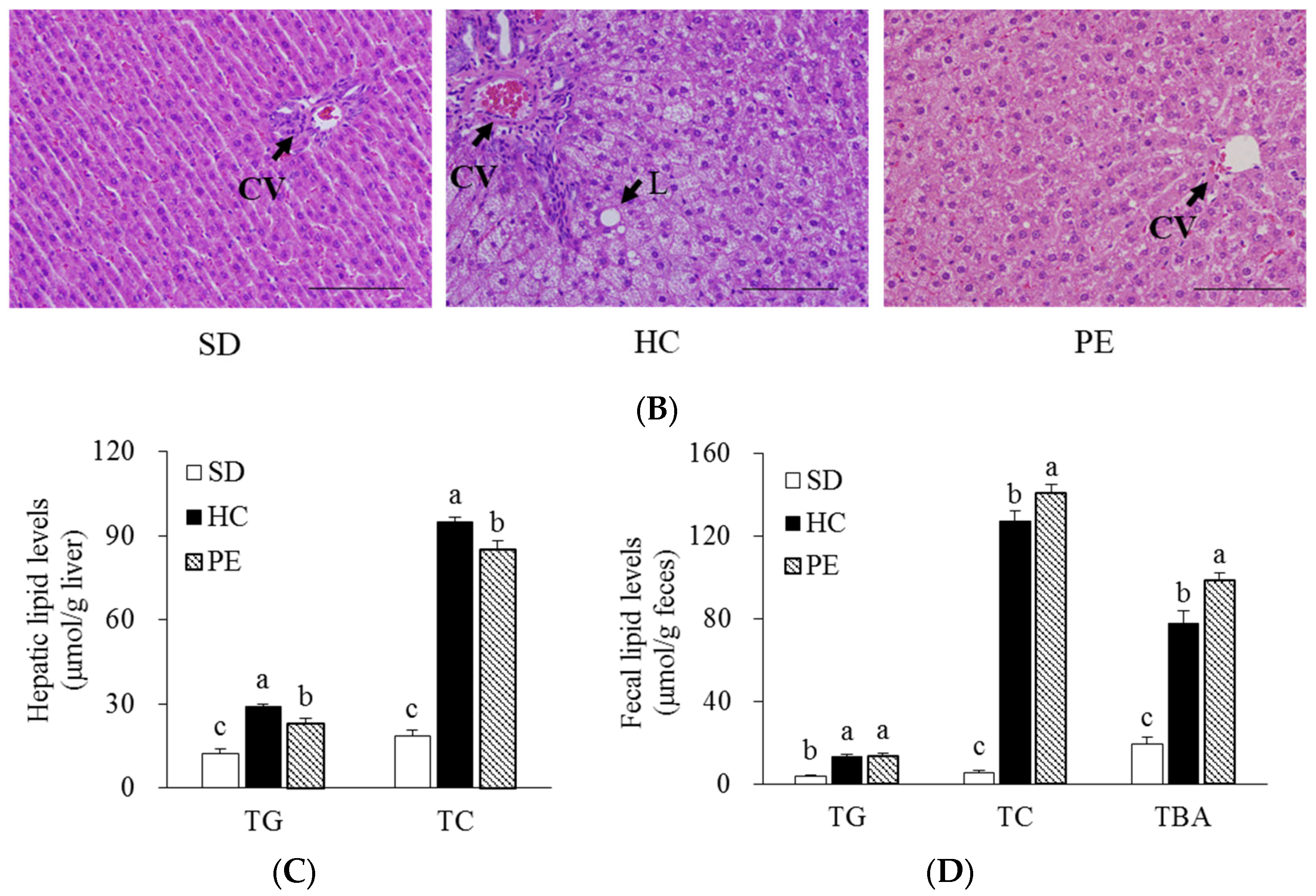 Nutrients 14 03330 g001b