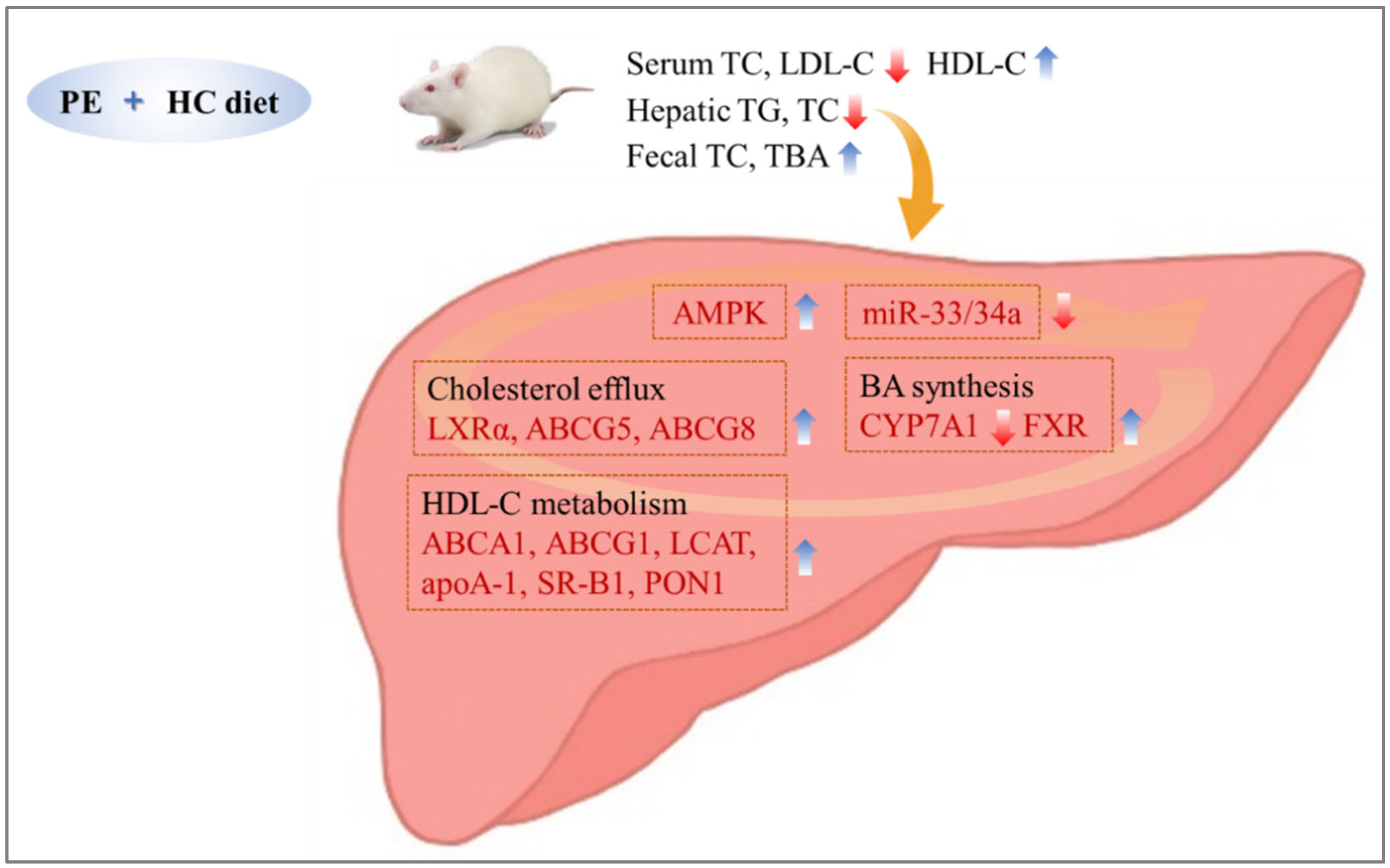 Nutrients 14 03330 g004
