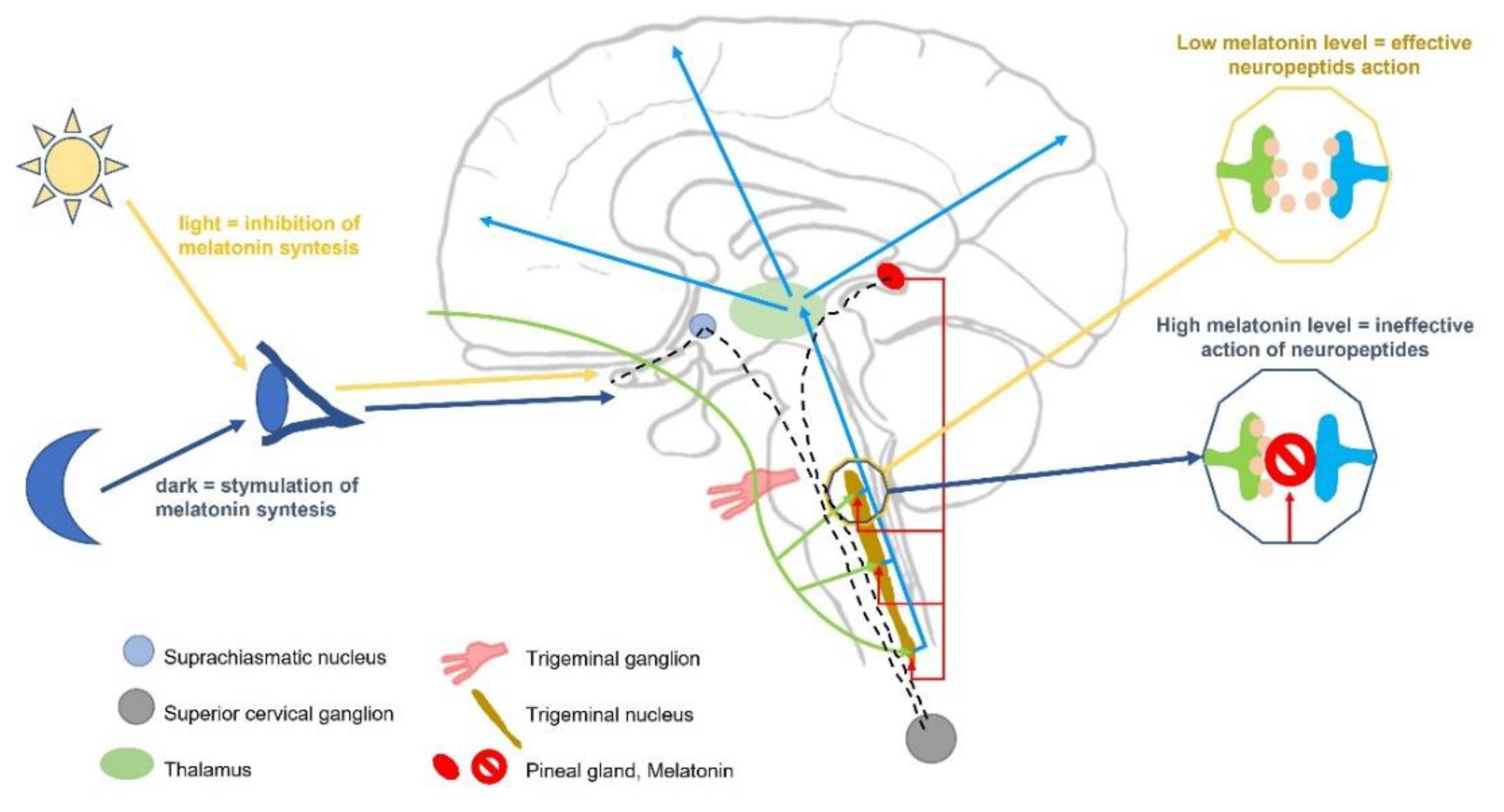 Nutrients 14 03335 g001