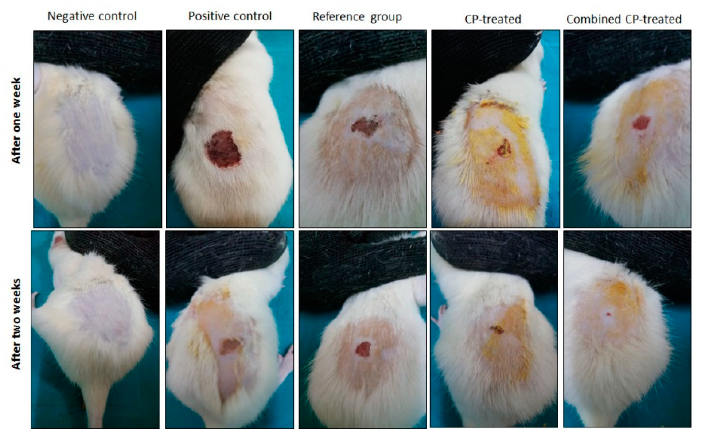 Nutrients 14 03336 g002