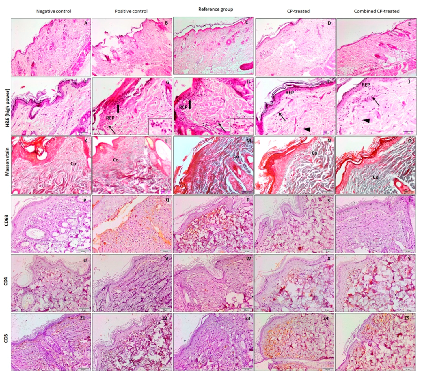 Nutrients 14 03336 g005