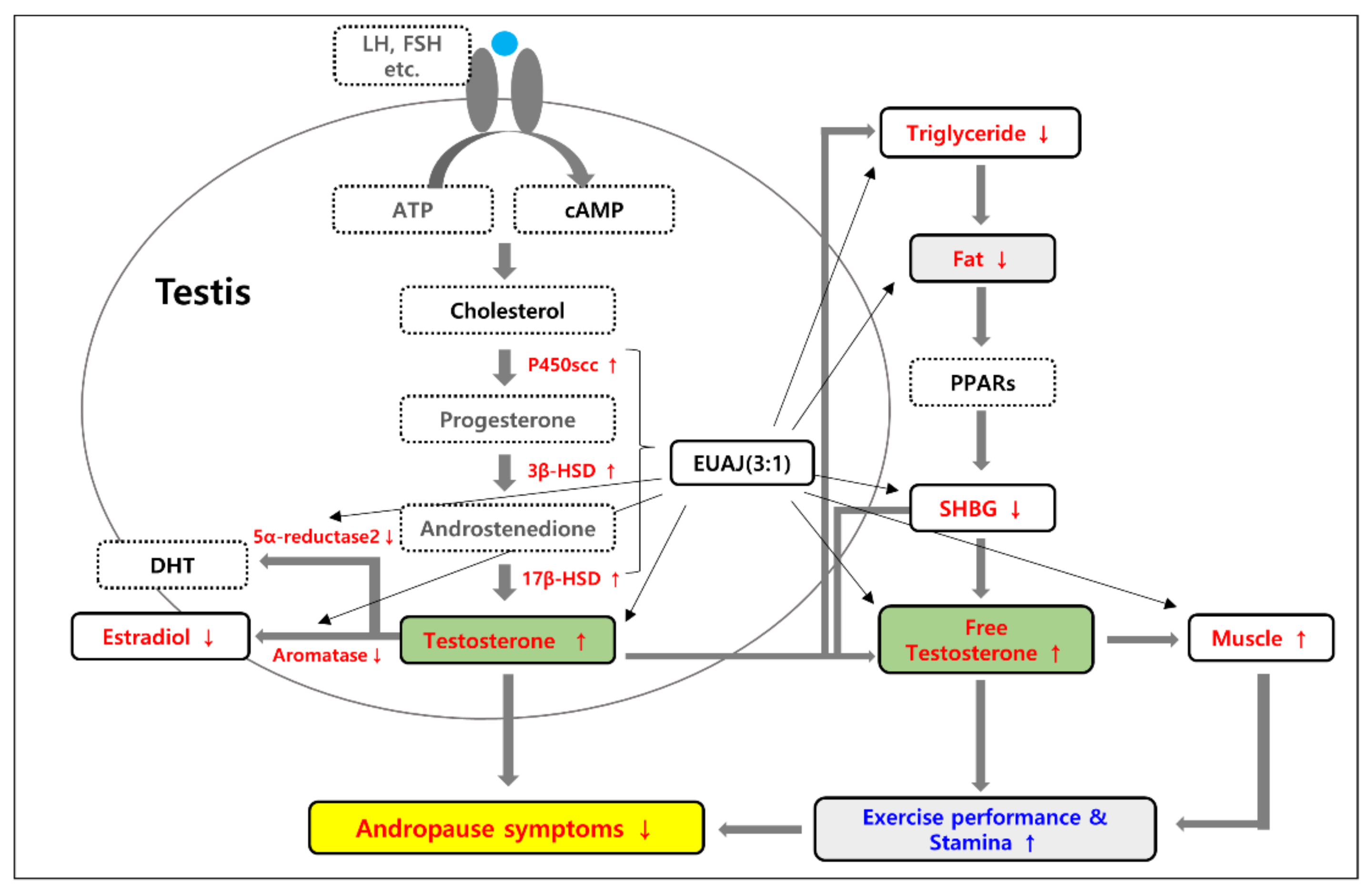 Nutrients 14 03341 g008 Nutrients 14 03341 g008