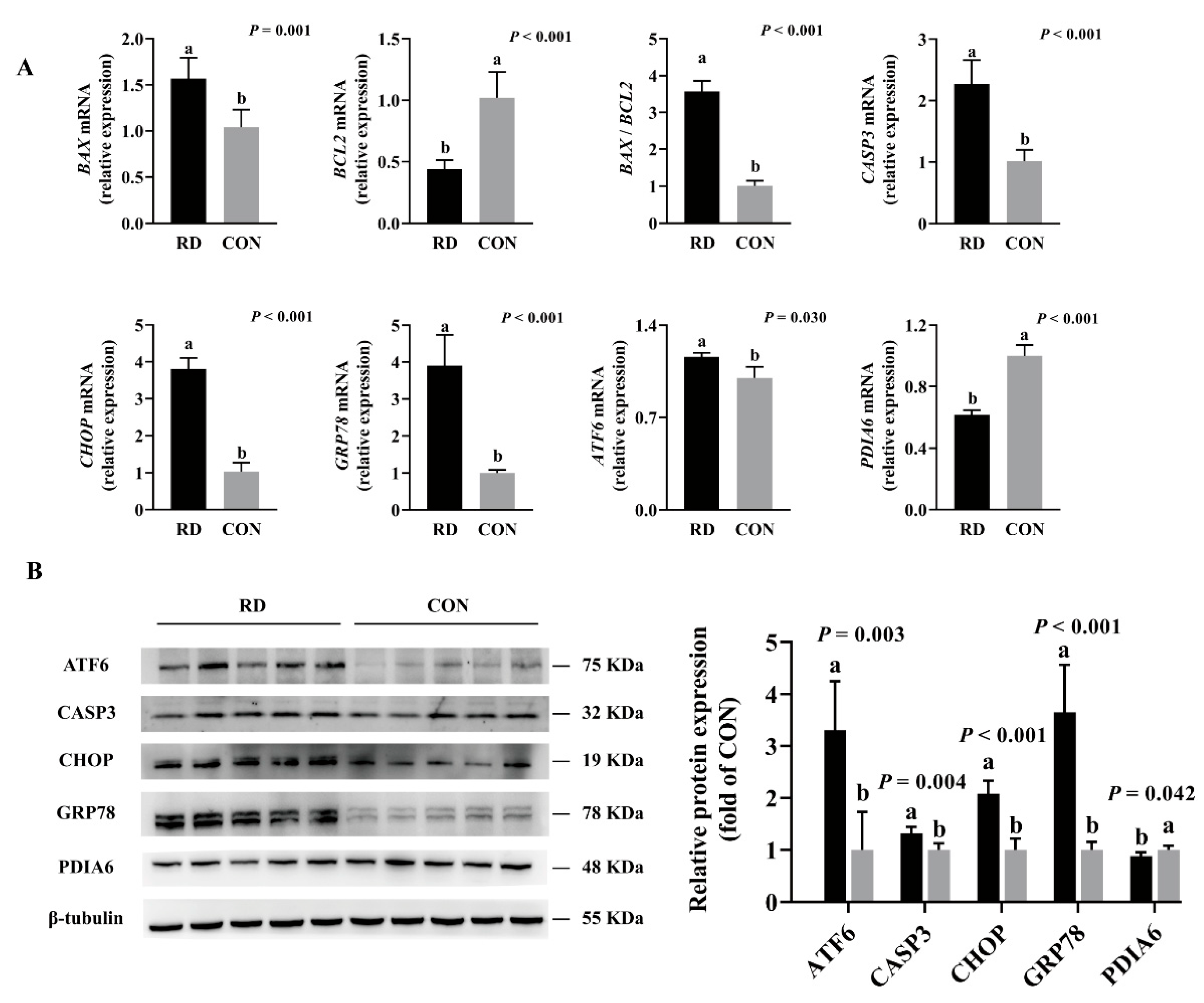 Nutrients 14 03356 g005 Nutrients 14 03356 g005