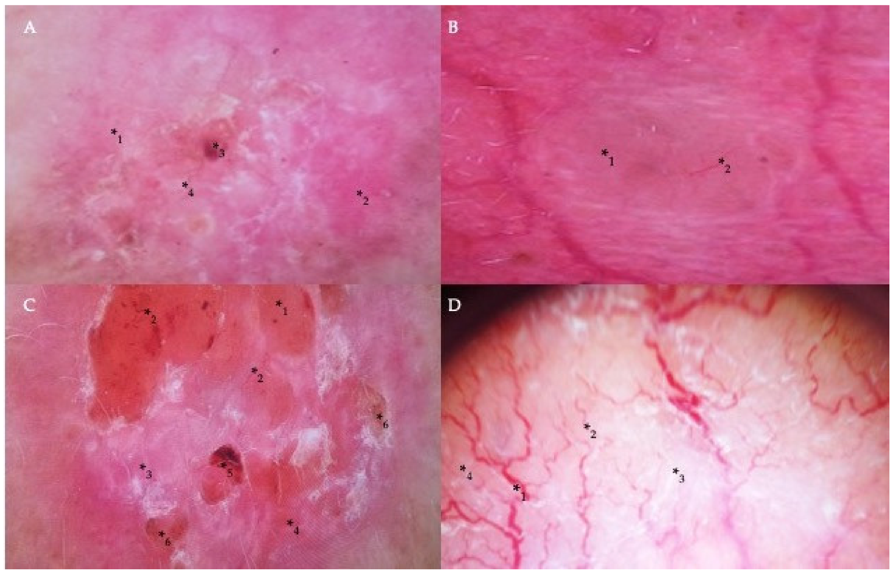 Nutrients 14 03359 g002