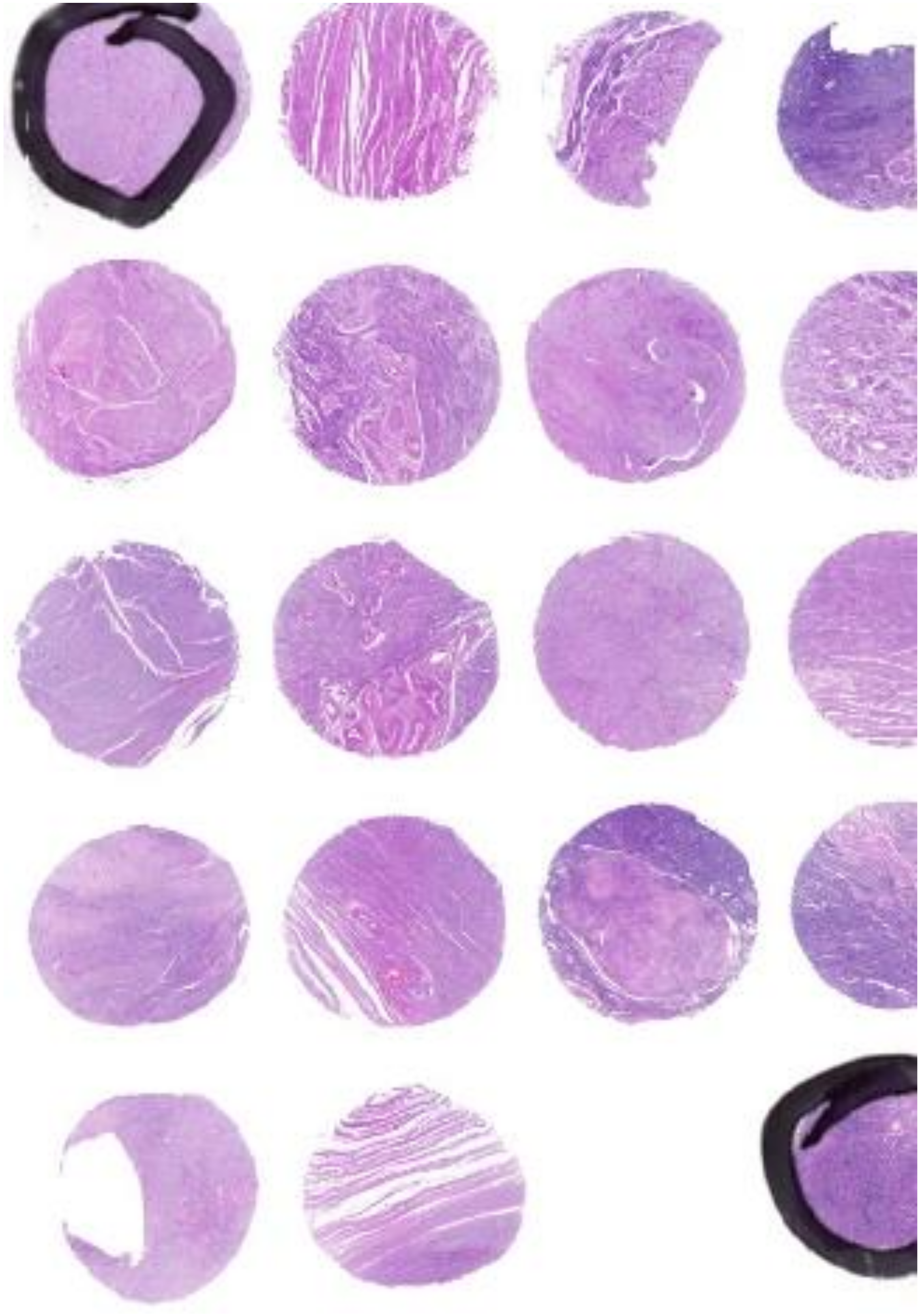 Nutrients 14 03371 g001