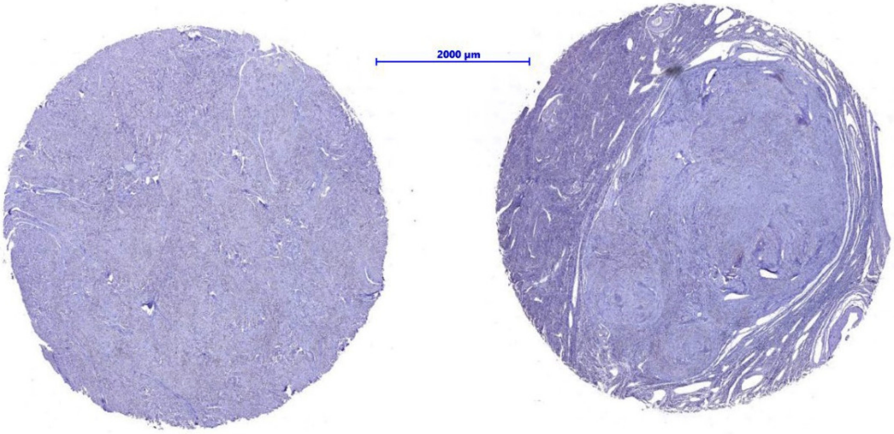 Nutrients 14 03371 g002