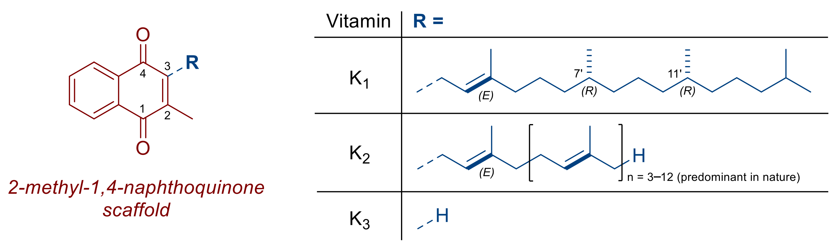 Nutrients 14 03401 g001