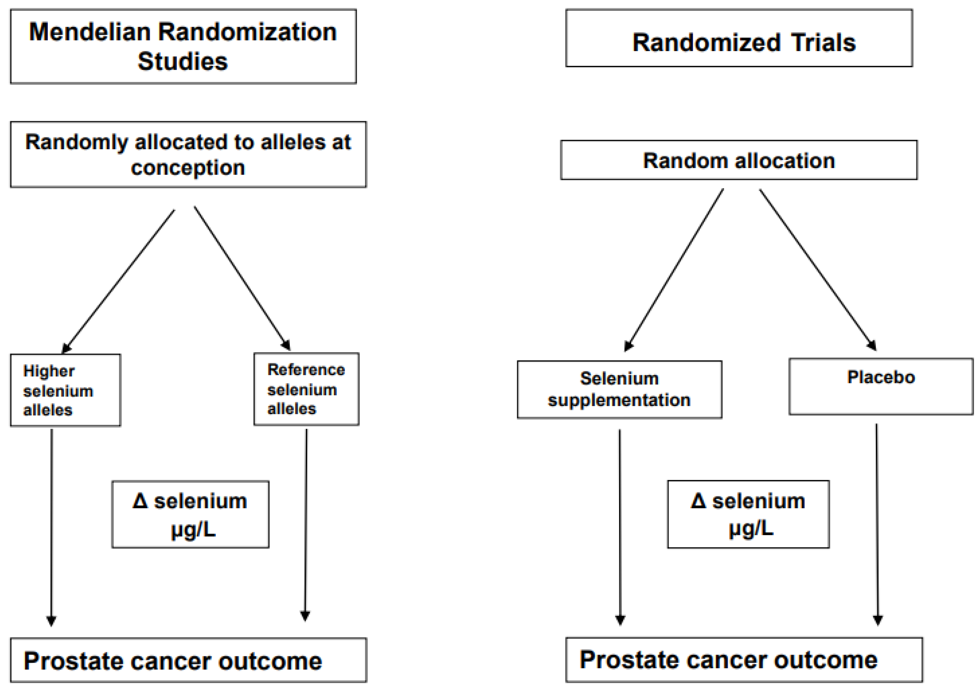 Nutrients 14 03408 g002