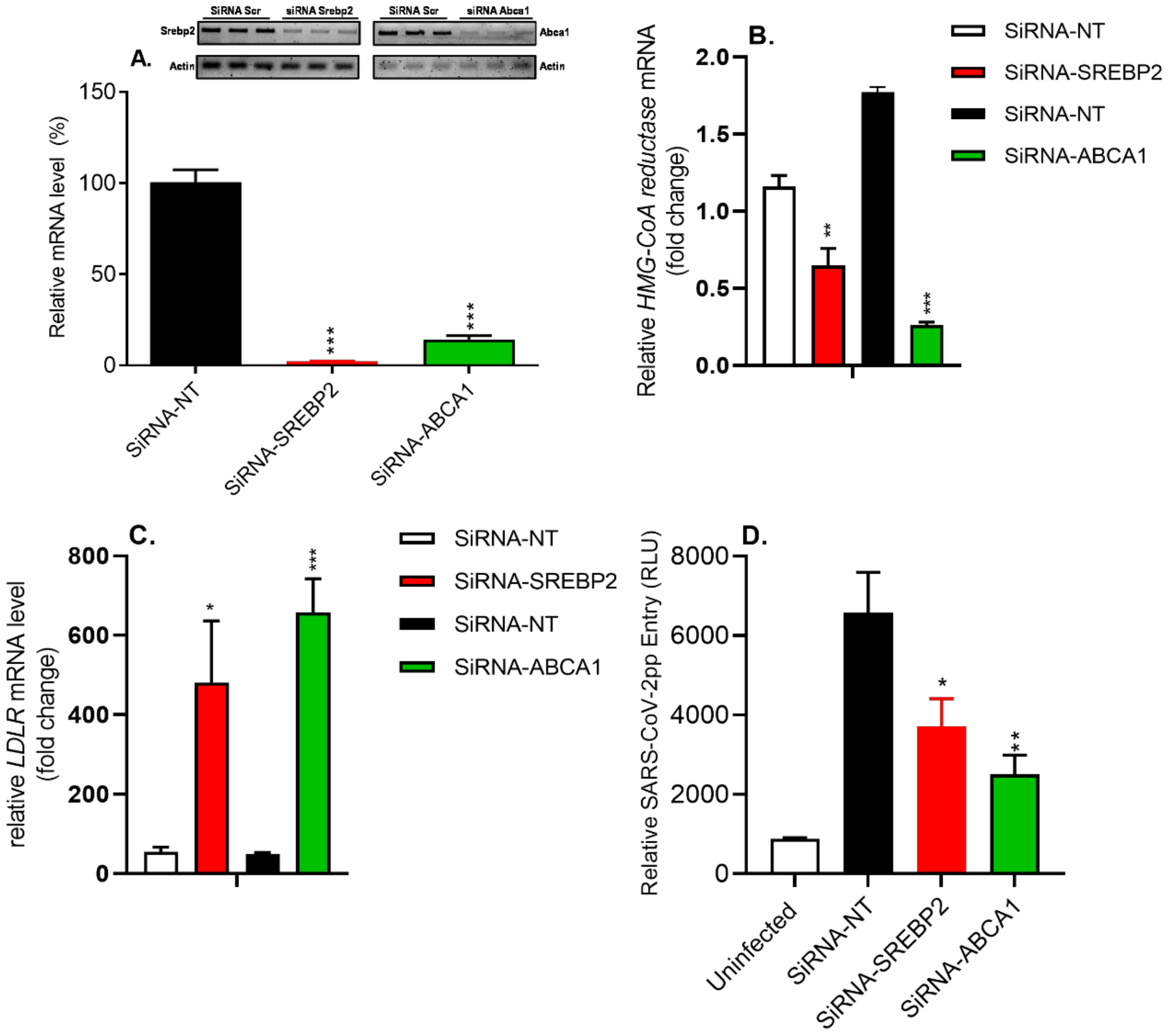 Nutrients 14 03417 g009