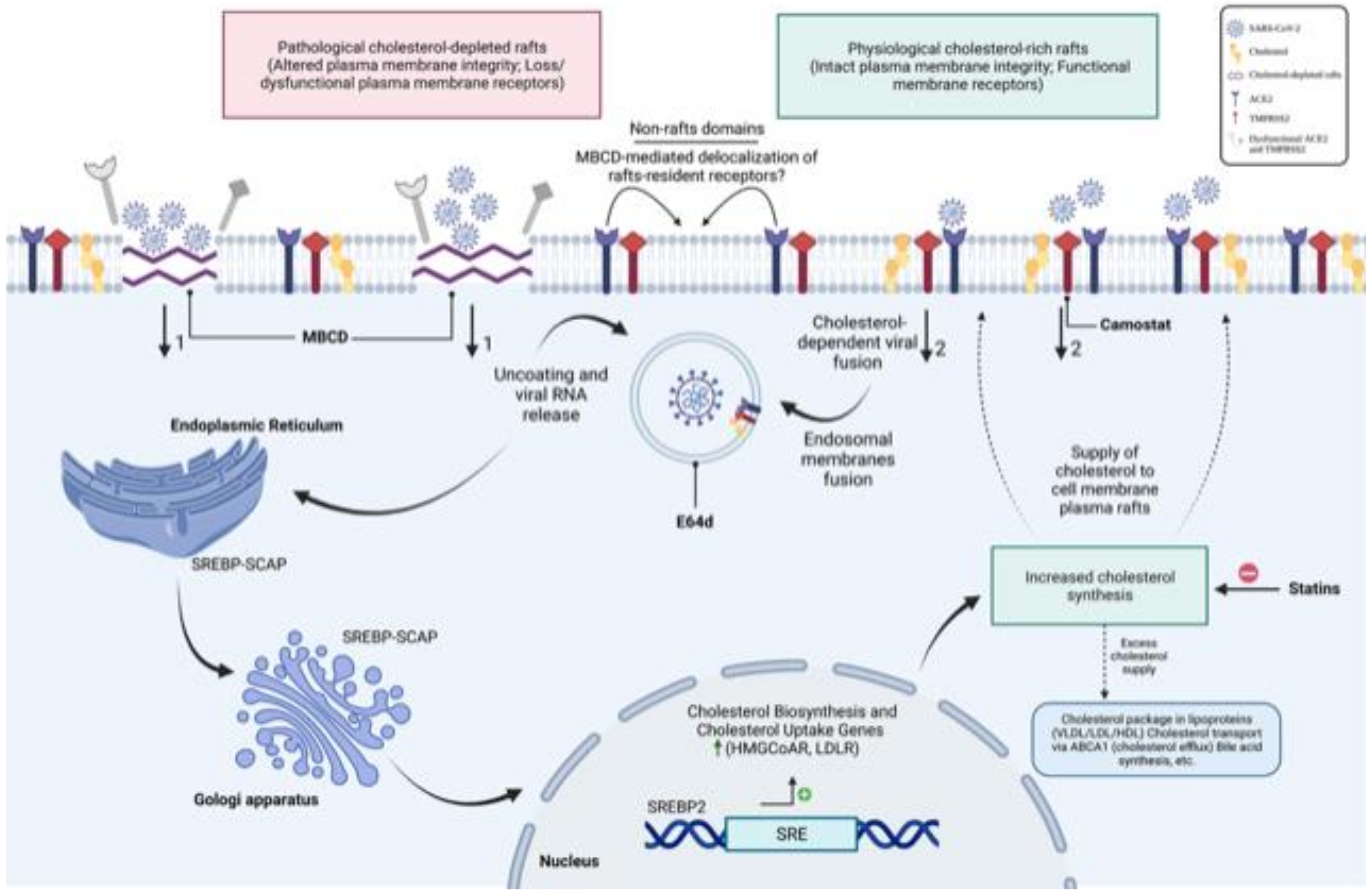 Nutrients 14 03417 g010