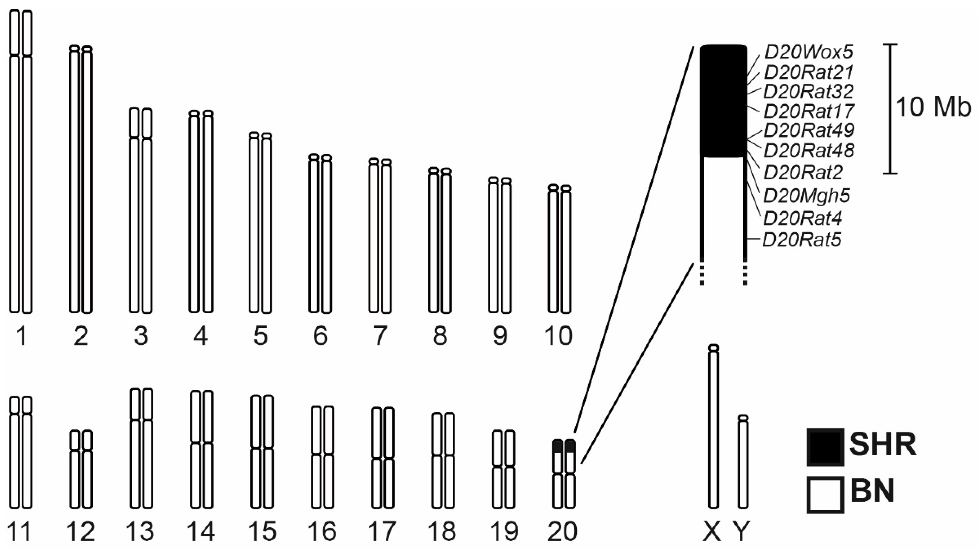 Nutrients 14 03428 g001 Nutrients 14 03428 g001