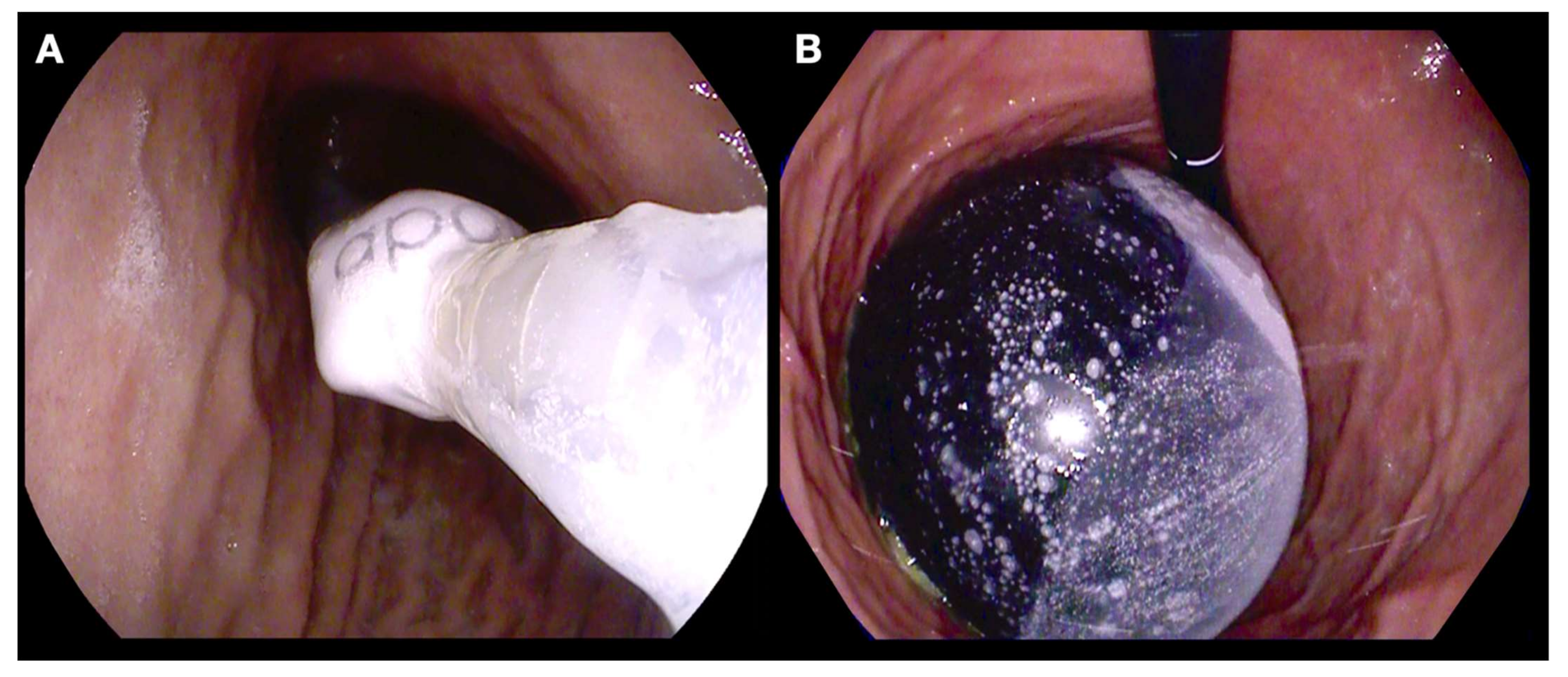 Nutrients 14 03450 g001