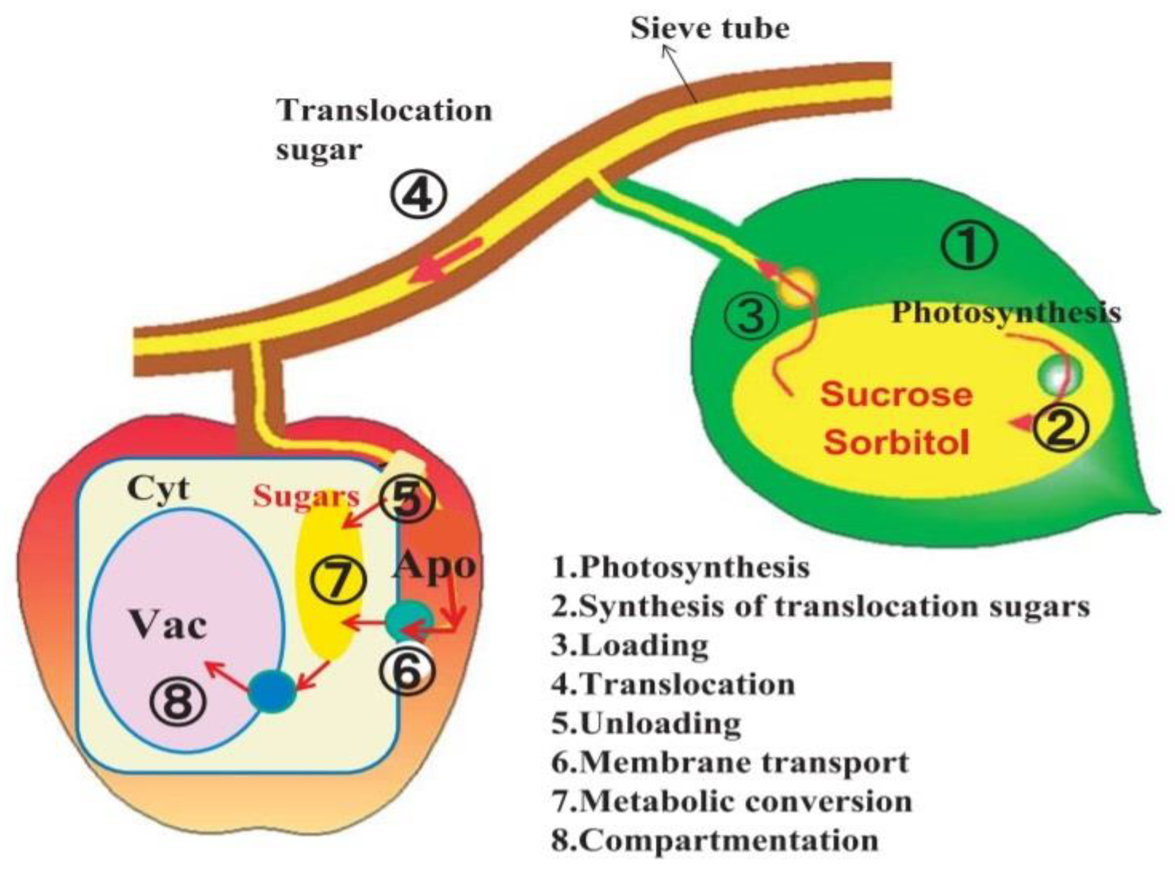 Nutrients 14 03457 g002