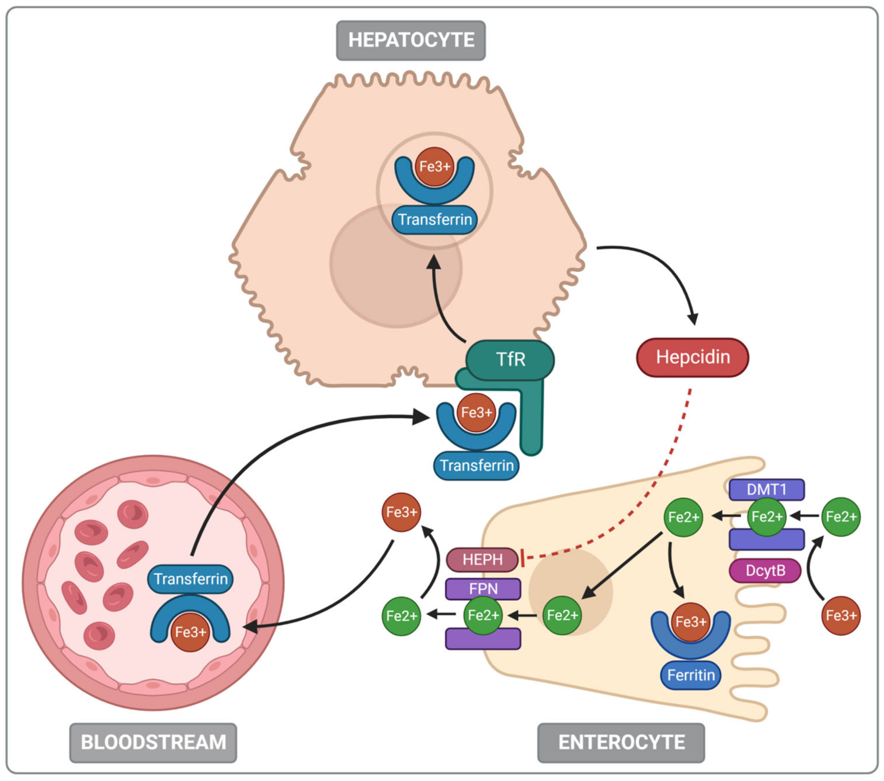 Nutrients 14 03478 g002