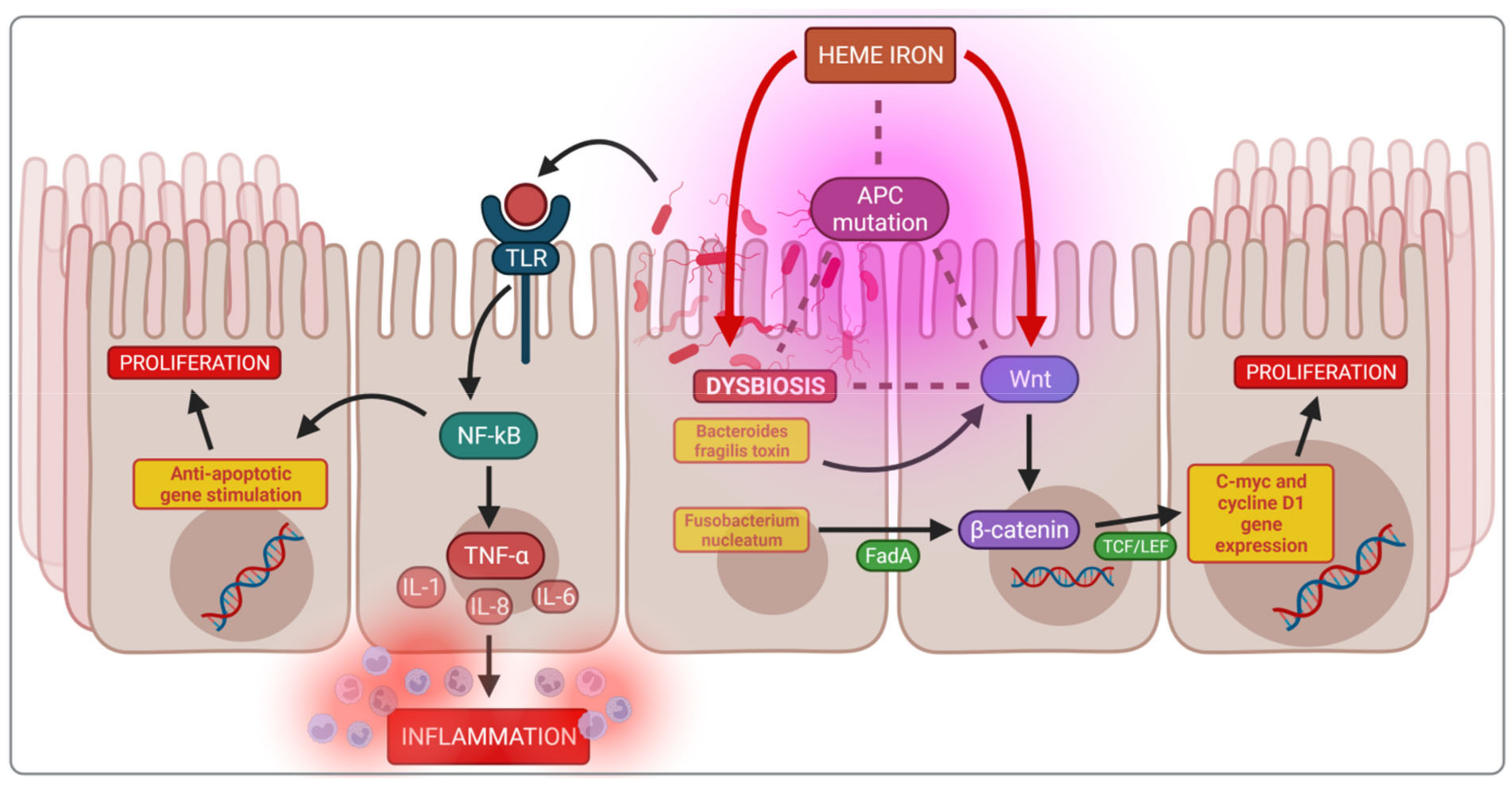 Nutrients 14 03478 g005