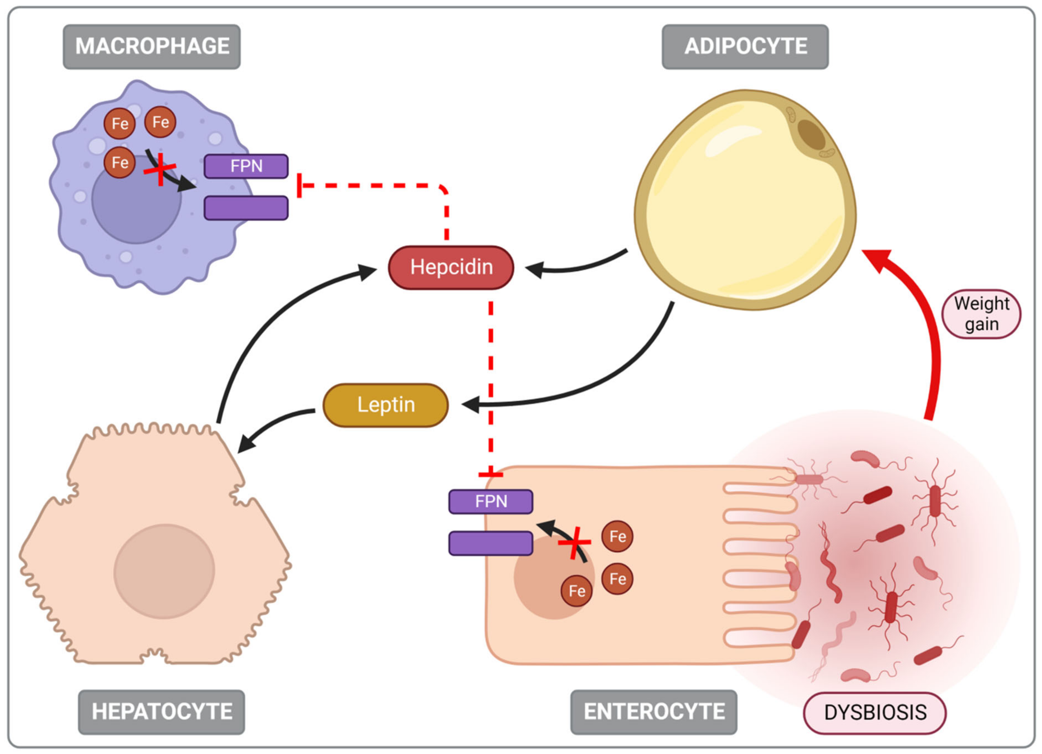 Nutrients 14 03478 g006