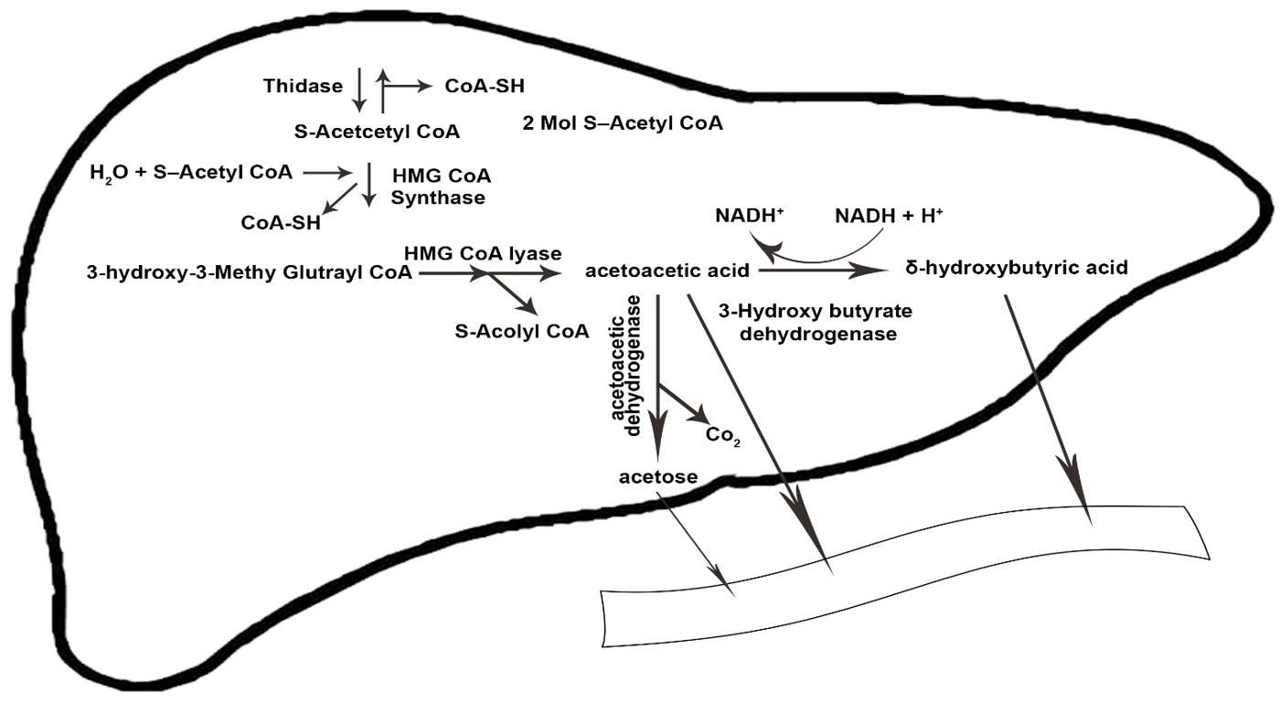 Nutrients 14 03499 g001