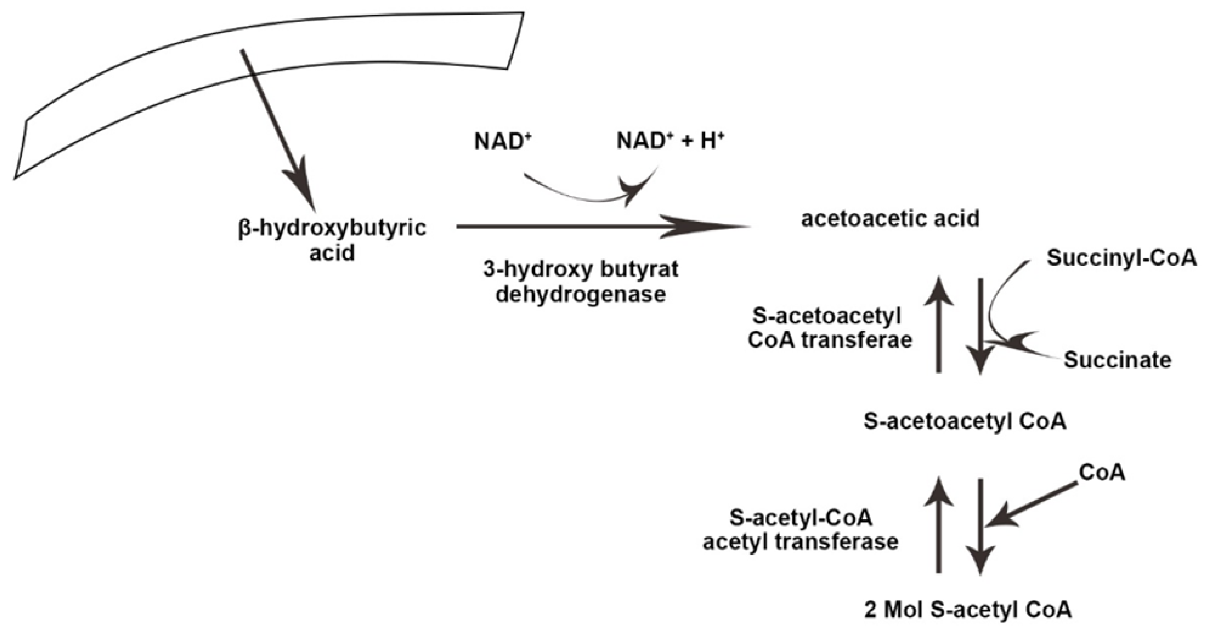 Nutrients 14 03499 g002
