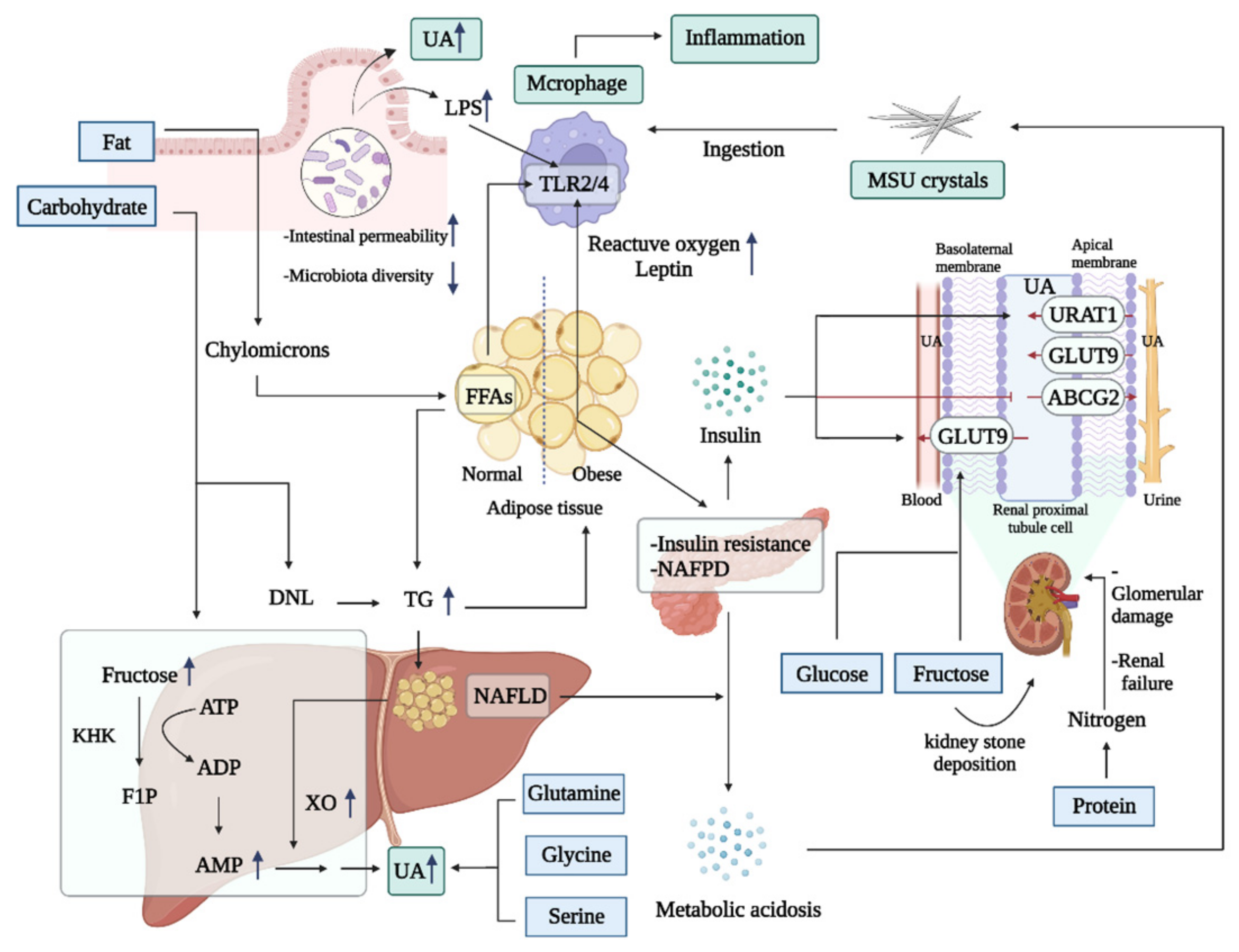Nutrients 14 03525 g002 Nutrients 14 03525 g002