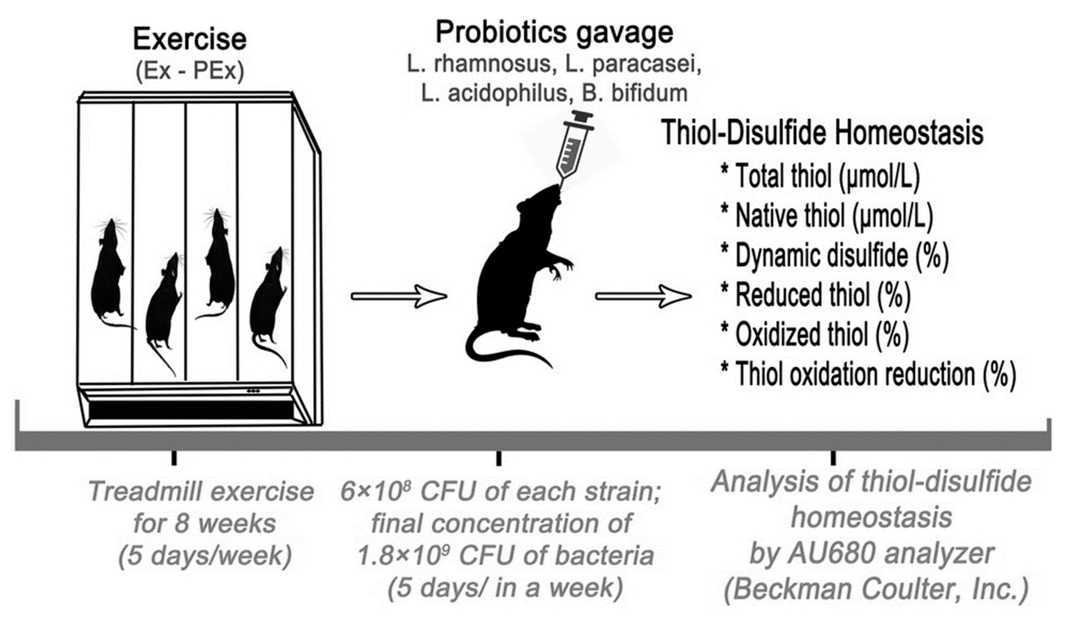 Nutrients 14 03555 g001