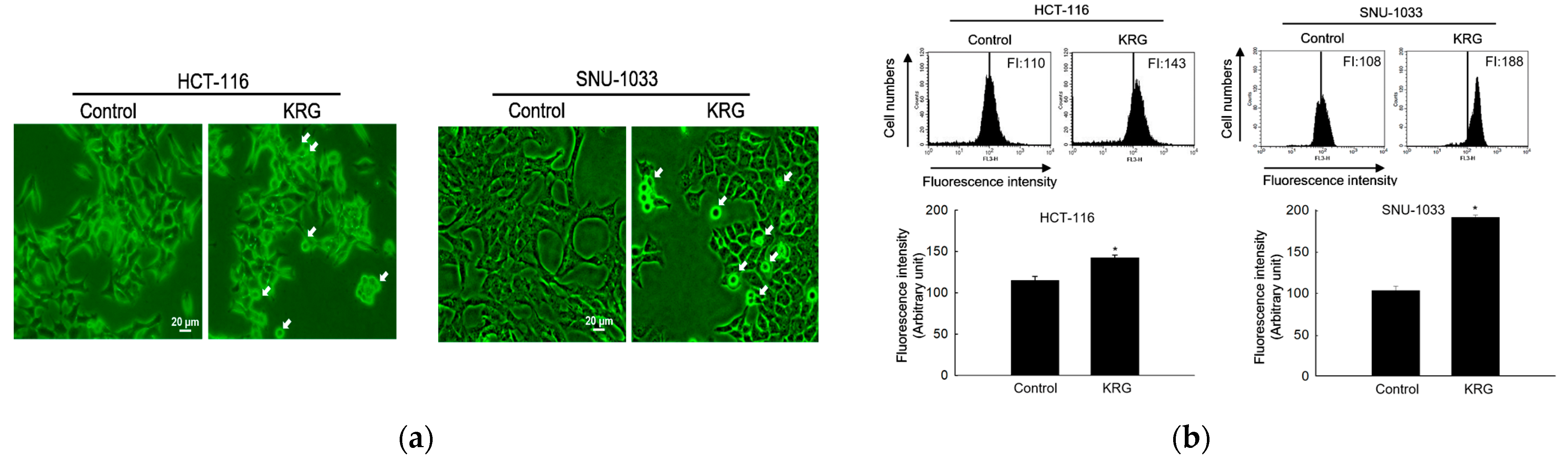 Nutrients 14 03558 g002a Nutrients 14 03558 g002a