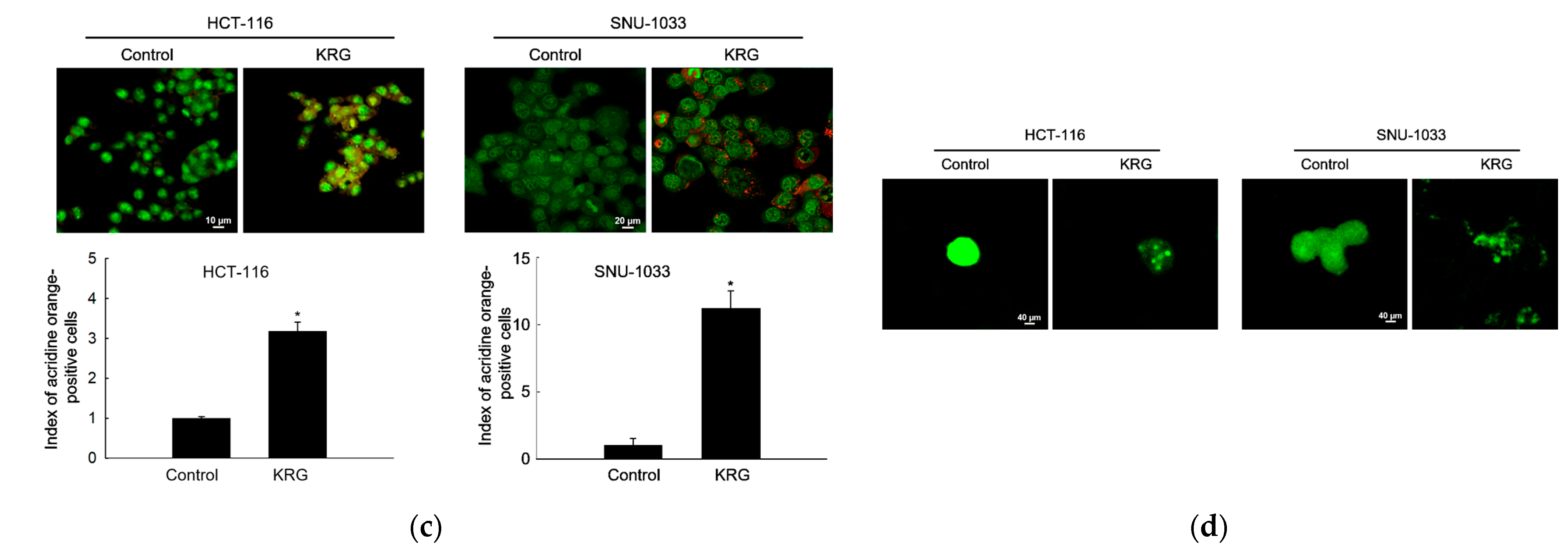 Nutrients 14 03558 g002b Nutrients 14 03558 g002b