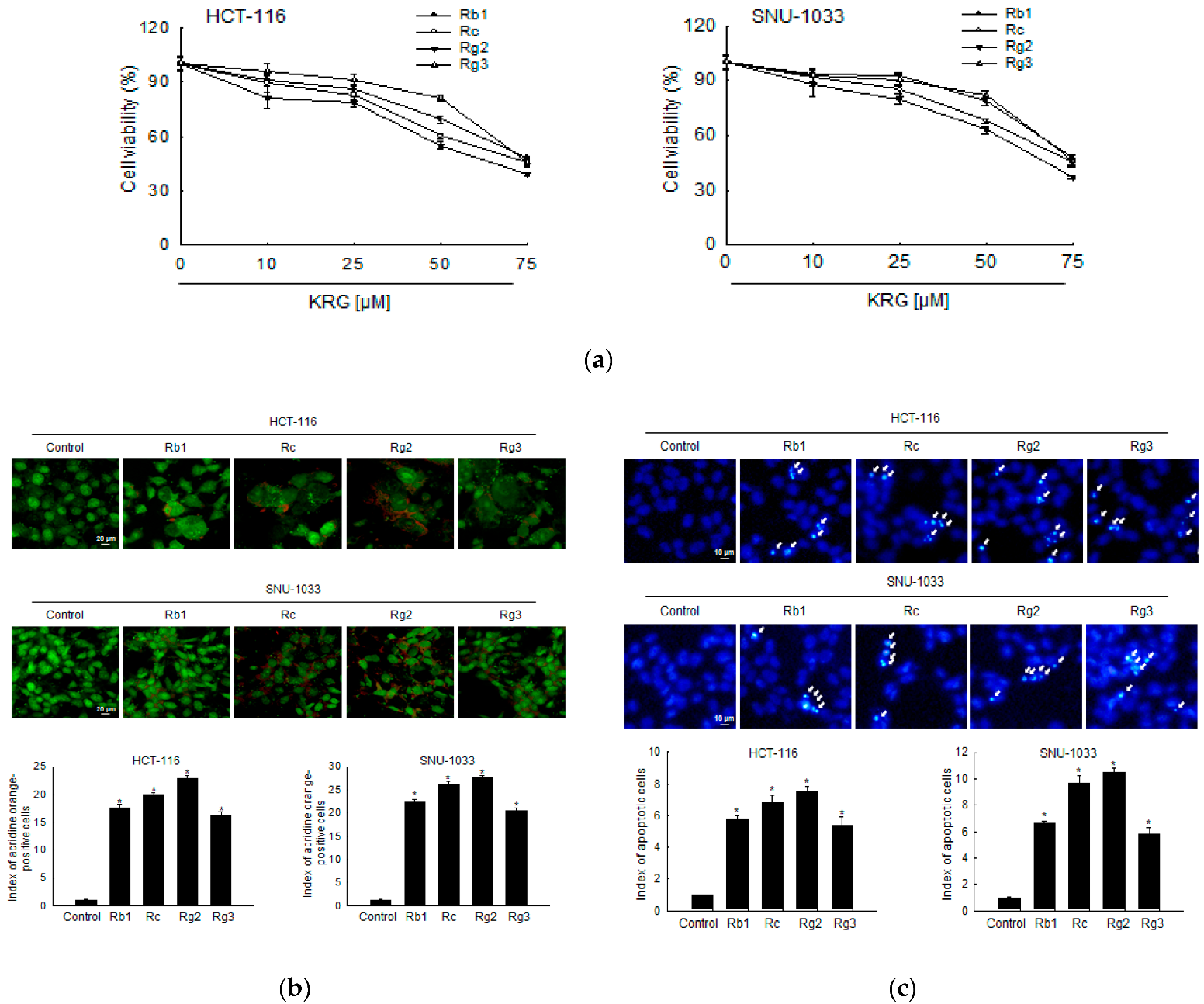 Nutrients 14 03558 g005 Nutrients 14 03558 g005