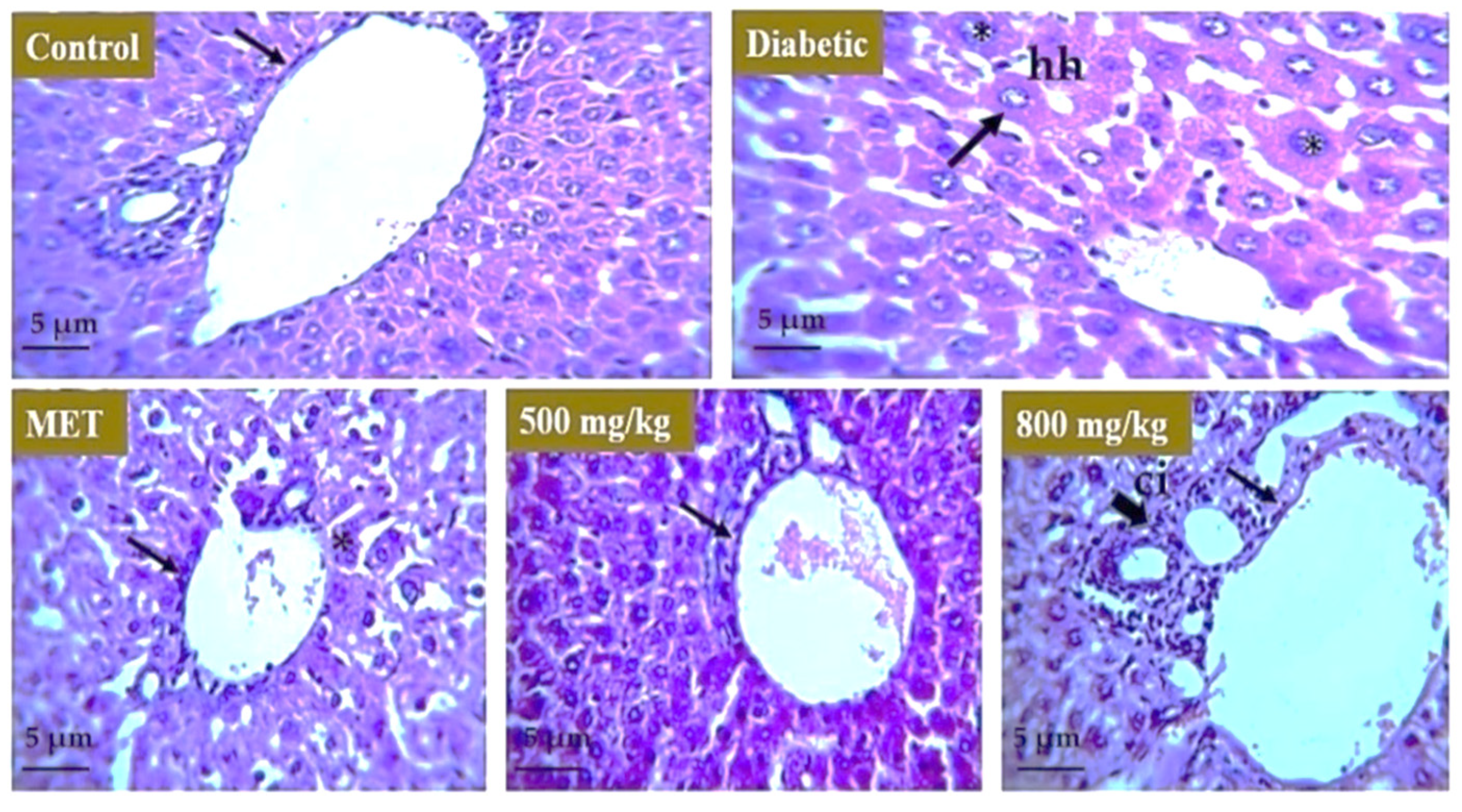 Nutrients 14 03561 g008
