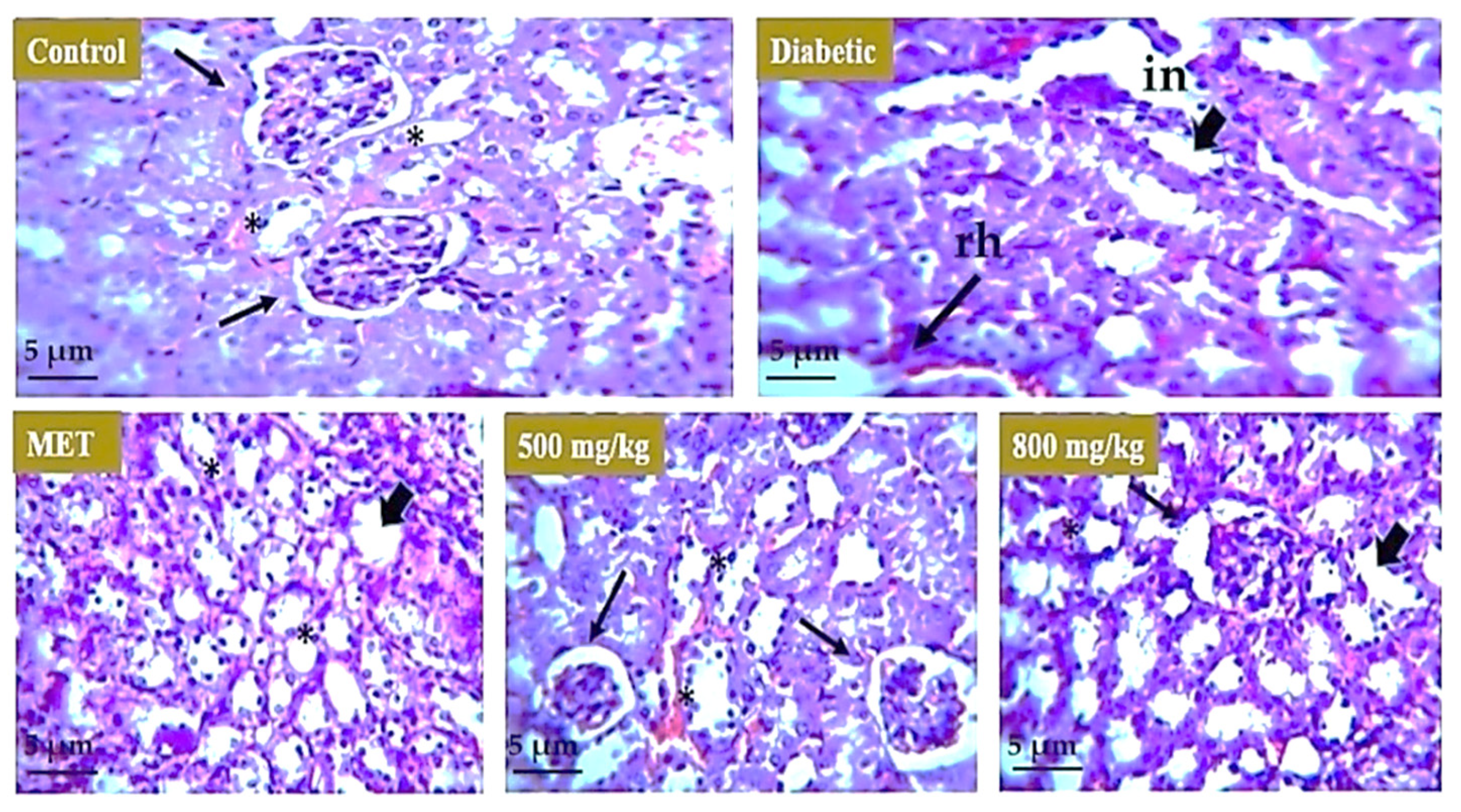Nutrients 14 03561 g009