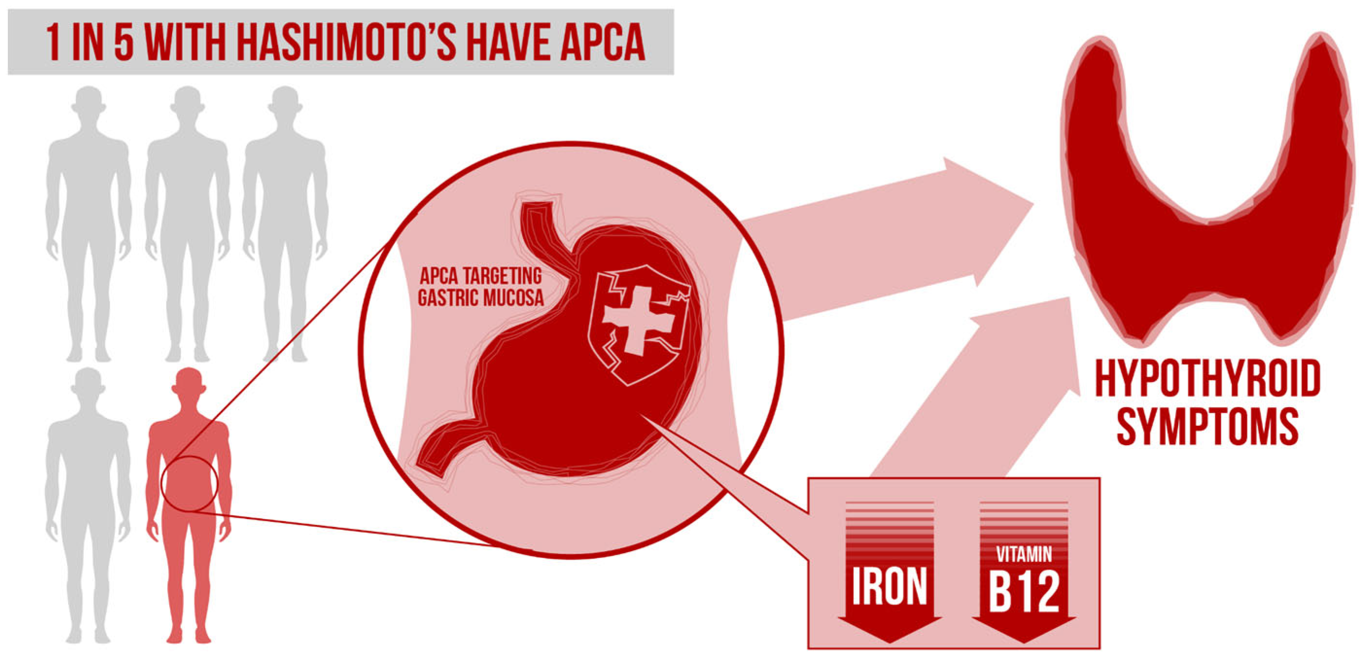 Nutrients 14 03572 g001