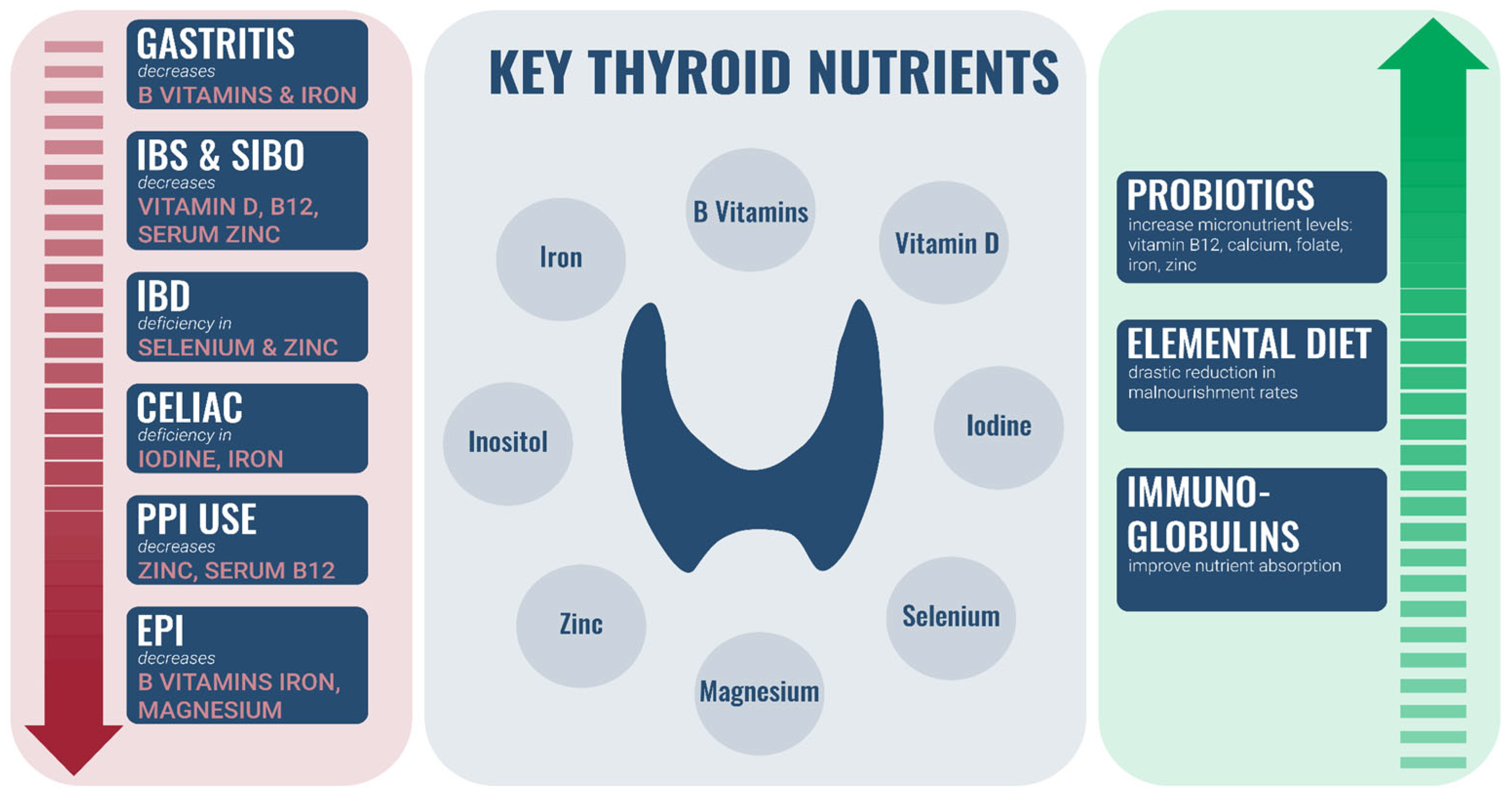 Nutrients 14 03572 g002