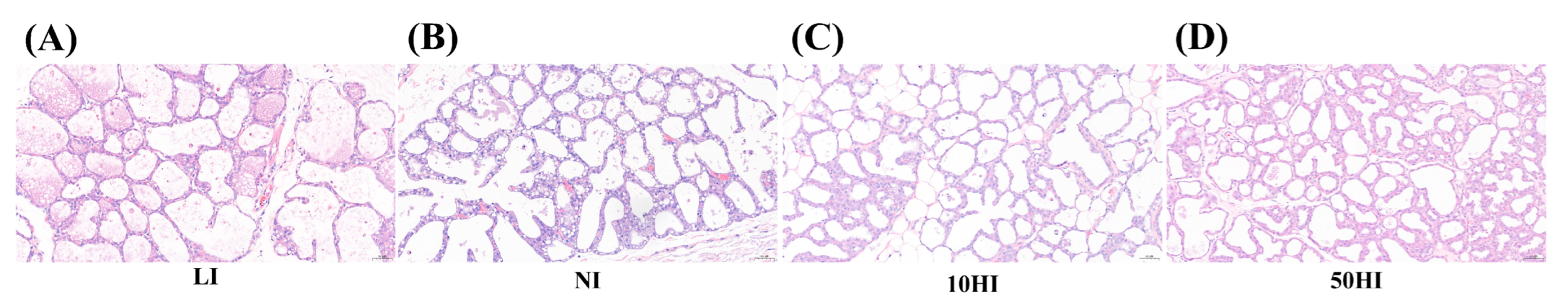 Nutrients 14 03592 g002