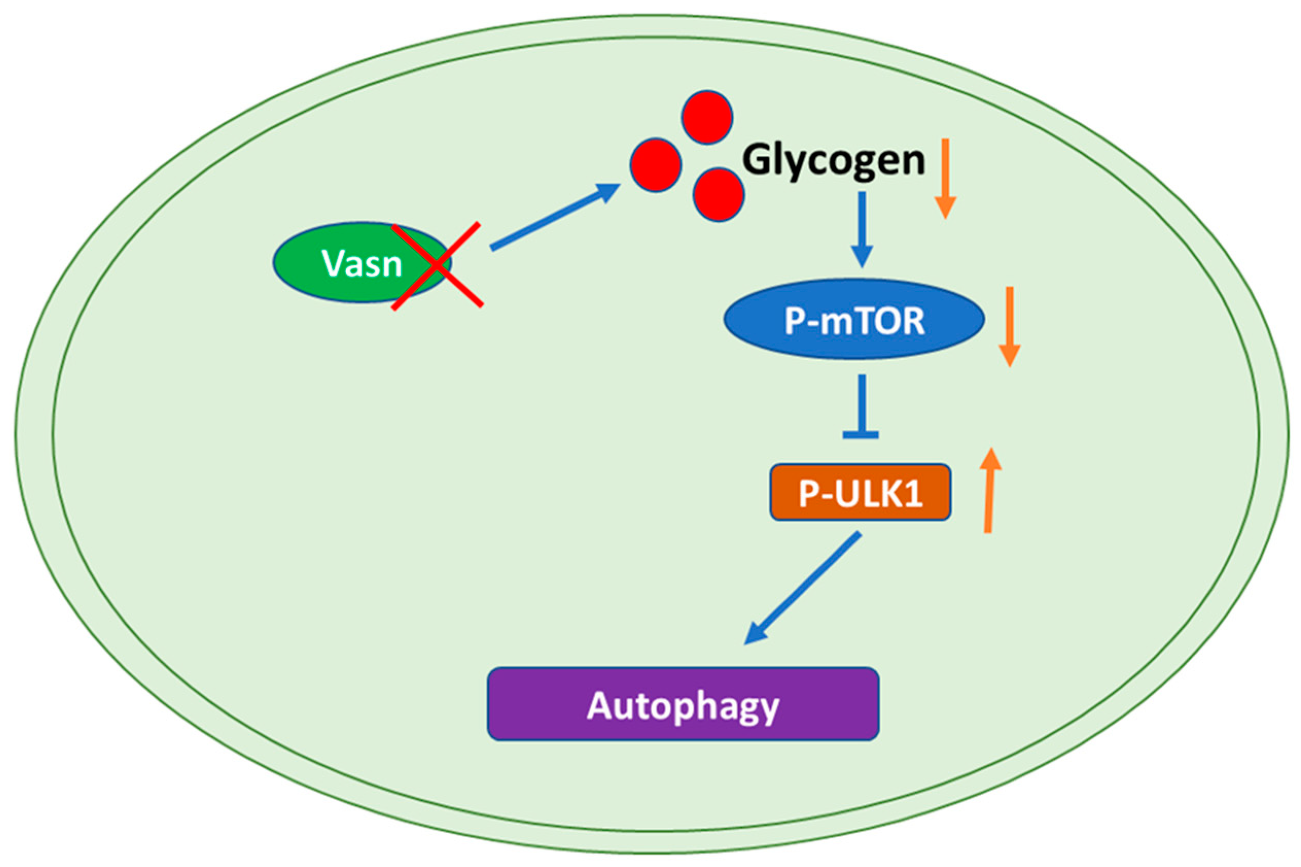 Nutrients 14 03600 g007