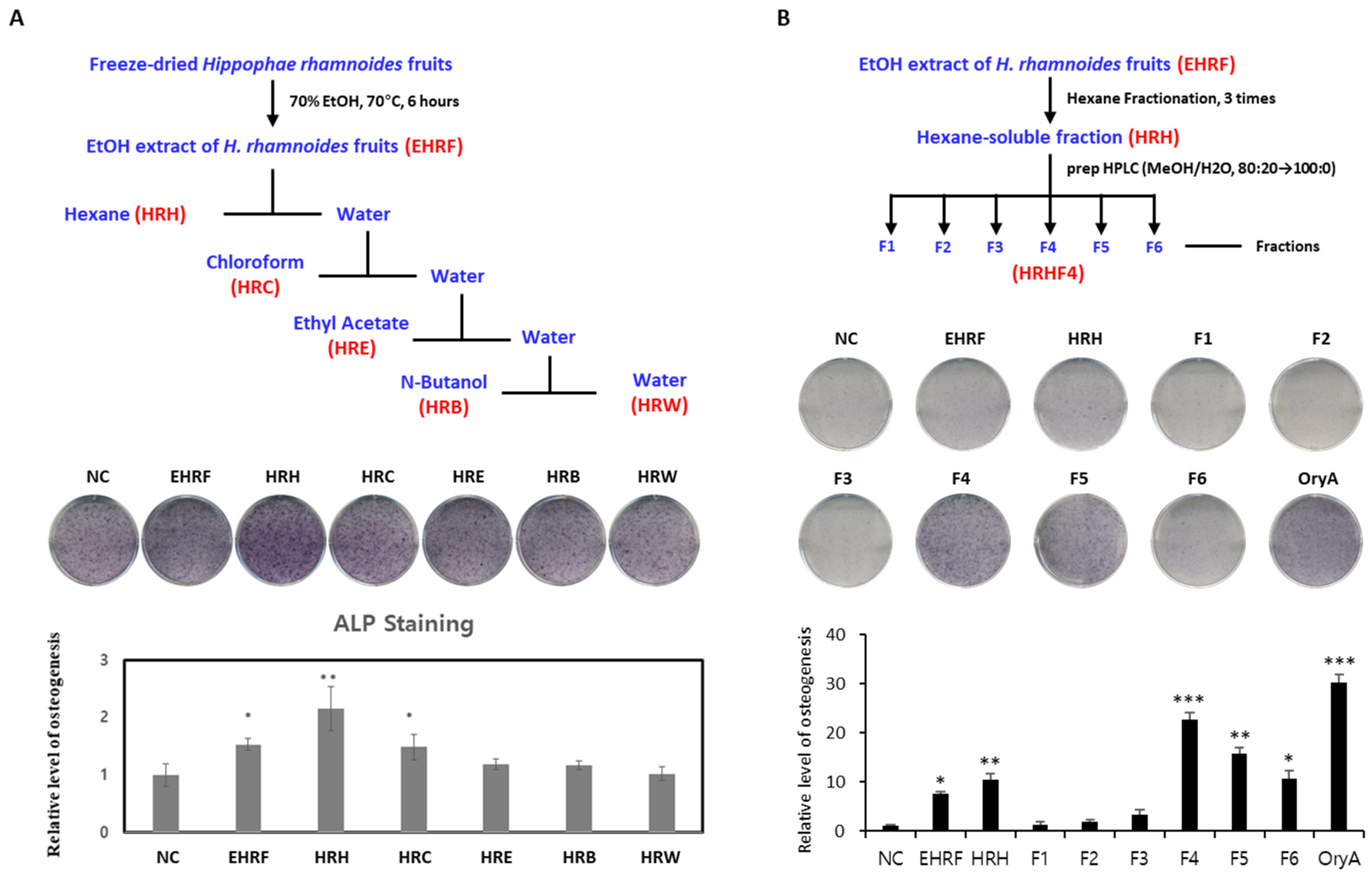 Nutrients 14 03604 g001